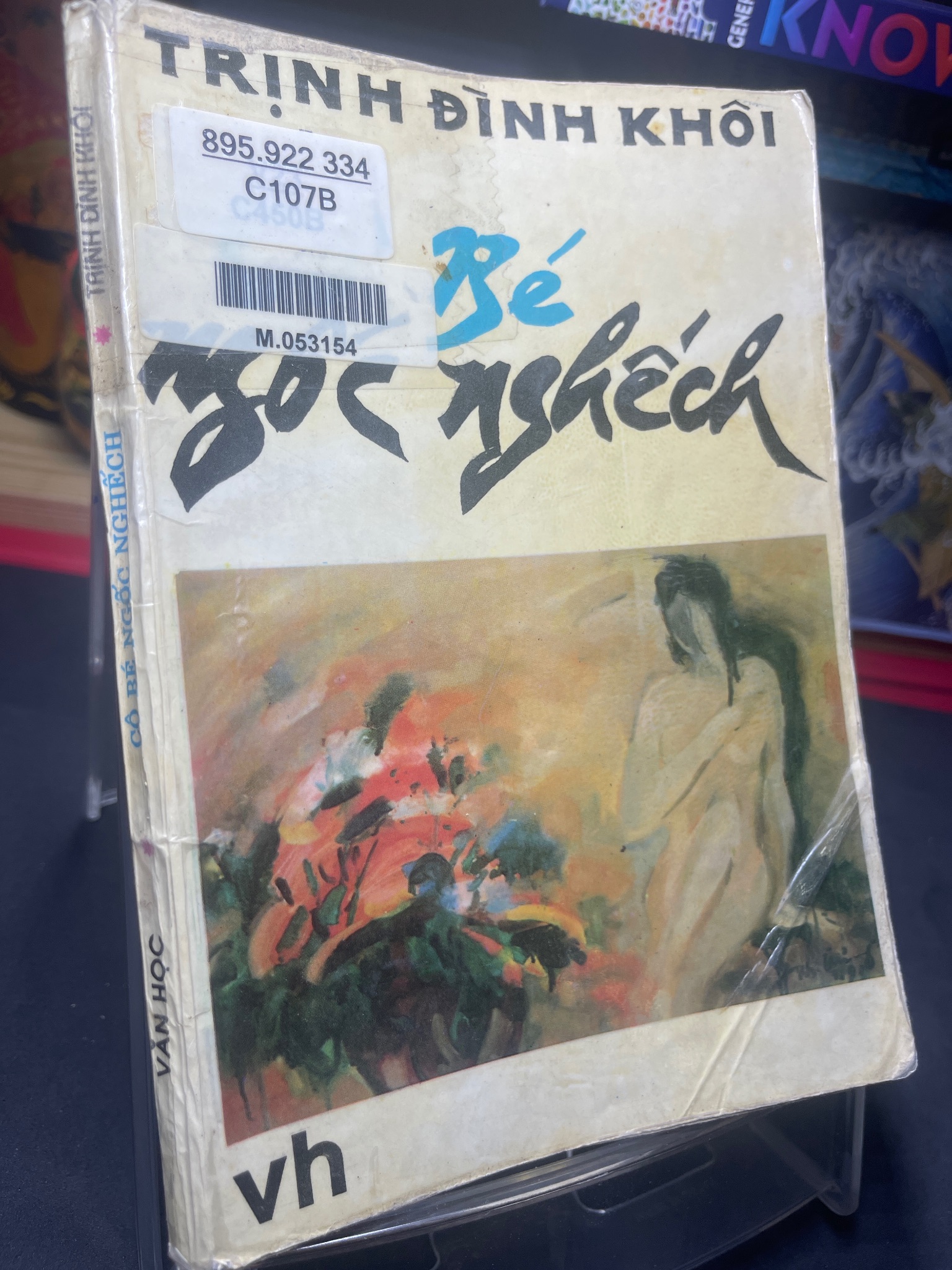 Cô bé ngốc nghếch 1993 mới 60% ố vàng Trịnh Đình Khôi HPB0906 SÁCH VĂN HỌC