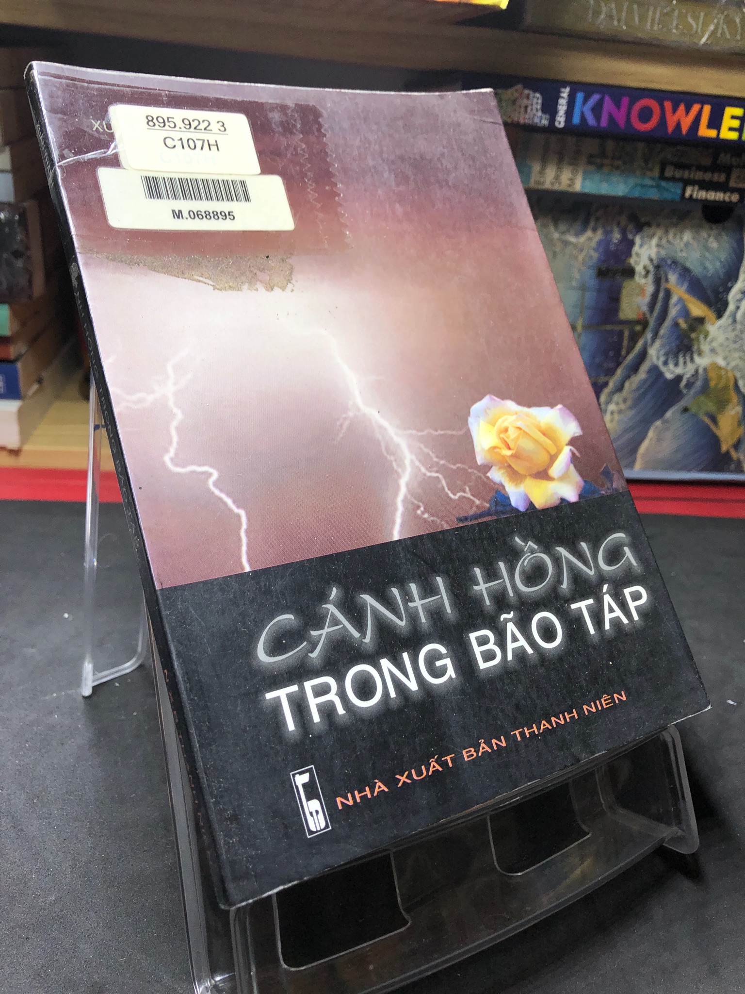 Cánh hồng trong bão táp 2004 mới 70% ố bẩn nhẹ Xuân Thành HPB0906 SÁCH VĂN HỌC