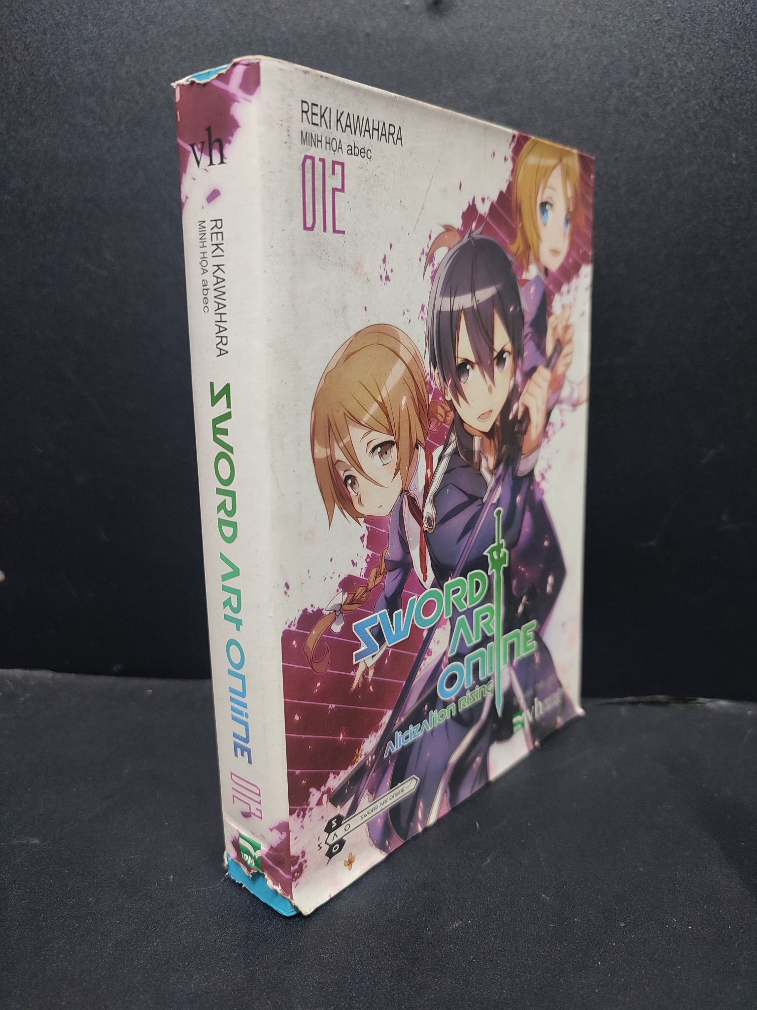 Sword Art Online tập 12 mới 80% ố vàng, bẩn HCM1406 Reki Kawahara SÁCH VĂN HỌC