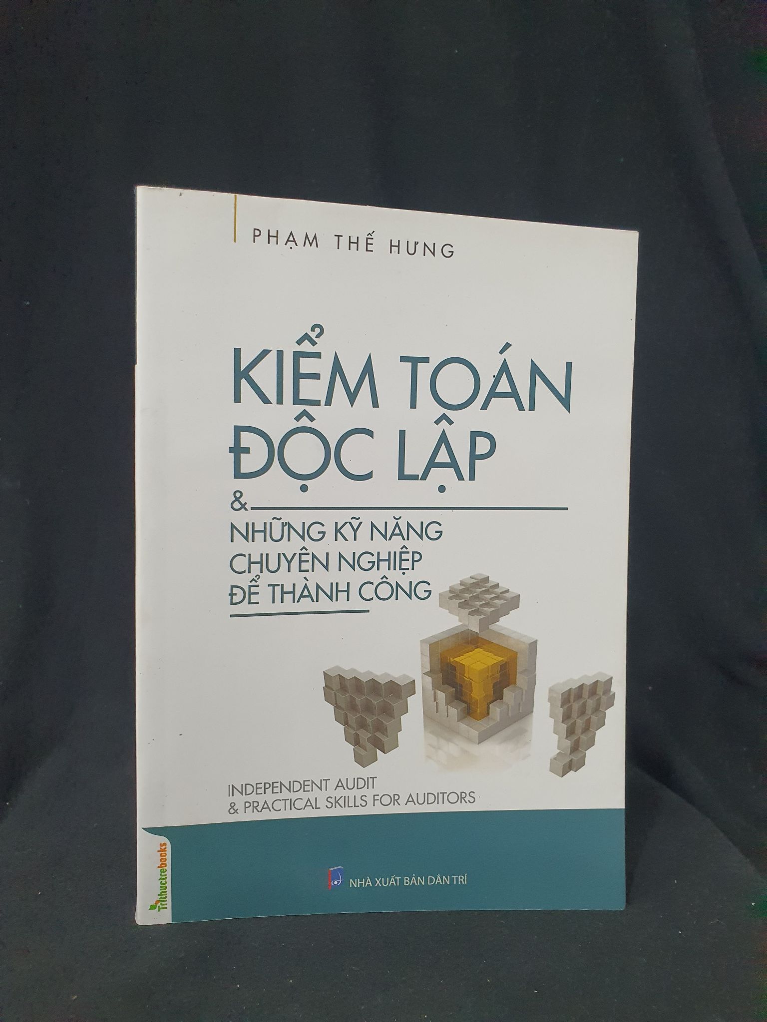 Kiểm toán độc lập & những kỹ năng chuyên nghiệp để thành công mới 90% 2022 HCM205 Phạm Thế Hưng SÁCH KỸ NĂNG