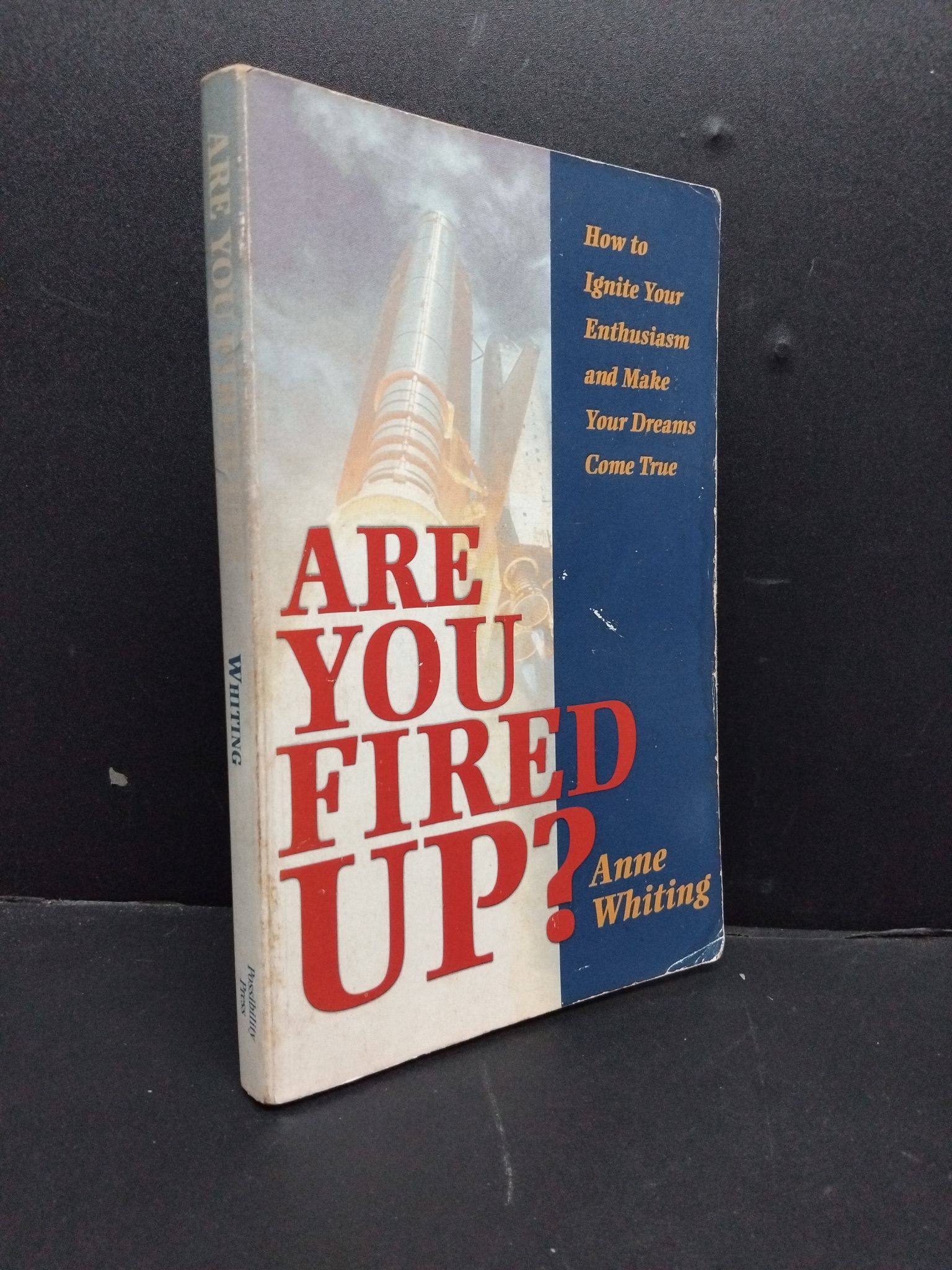 Are you fired up Anne Whitting mới 80% ố nhẹ bìa bẩn HCM0806 kỹ năng