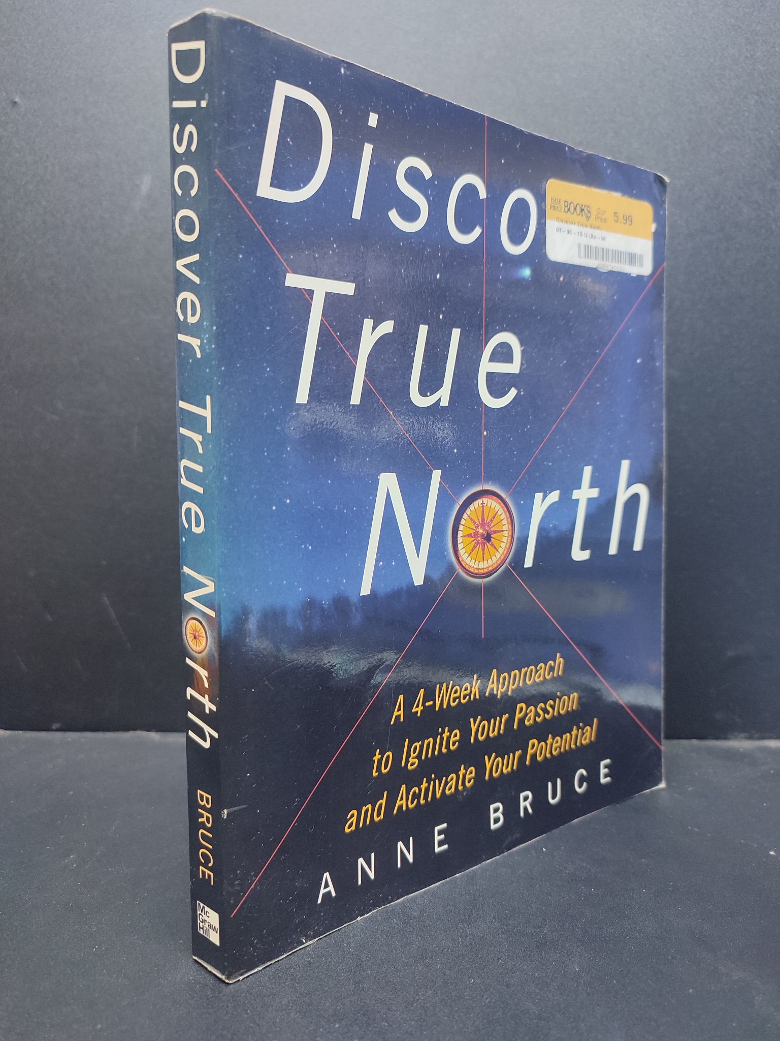 Discover true north Anne Bruce mới 80% ố nhẹ có vết mực HCM0806 kỹ năng