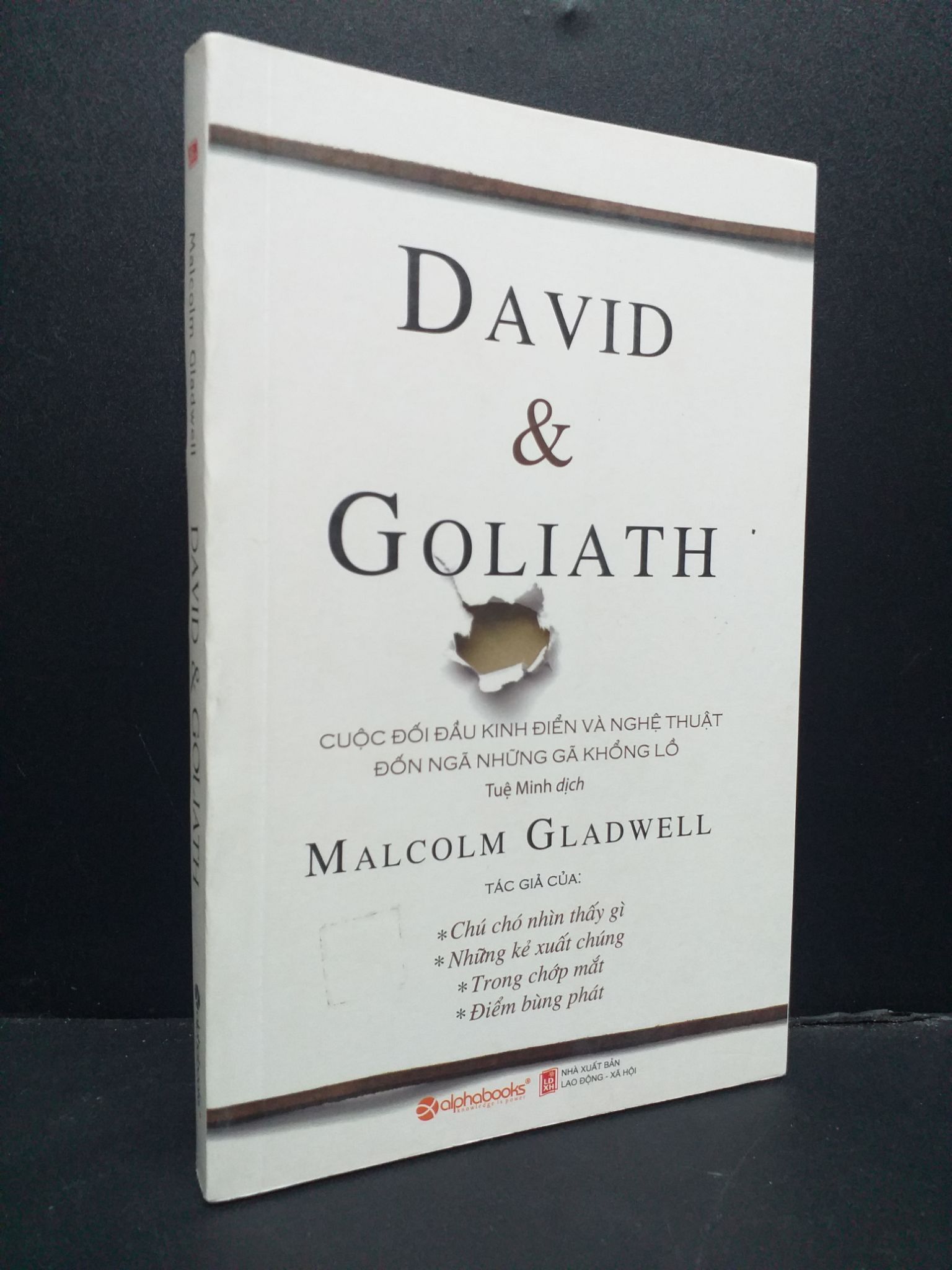 David & Goliath cuộc đối đầu kinh điển và nghệ thuật đốn ngã những gã khổng lồ mới 90% 2018 HCM0107 Malcolm Gladwell VĂN HỌC