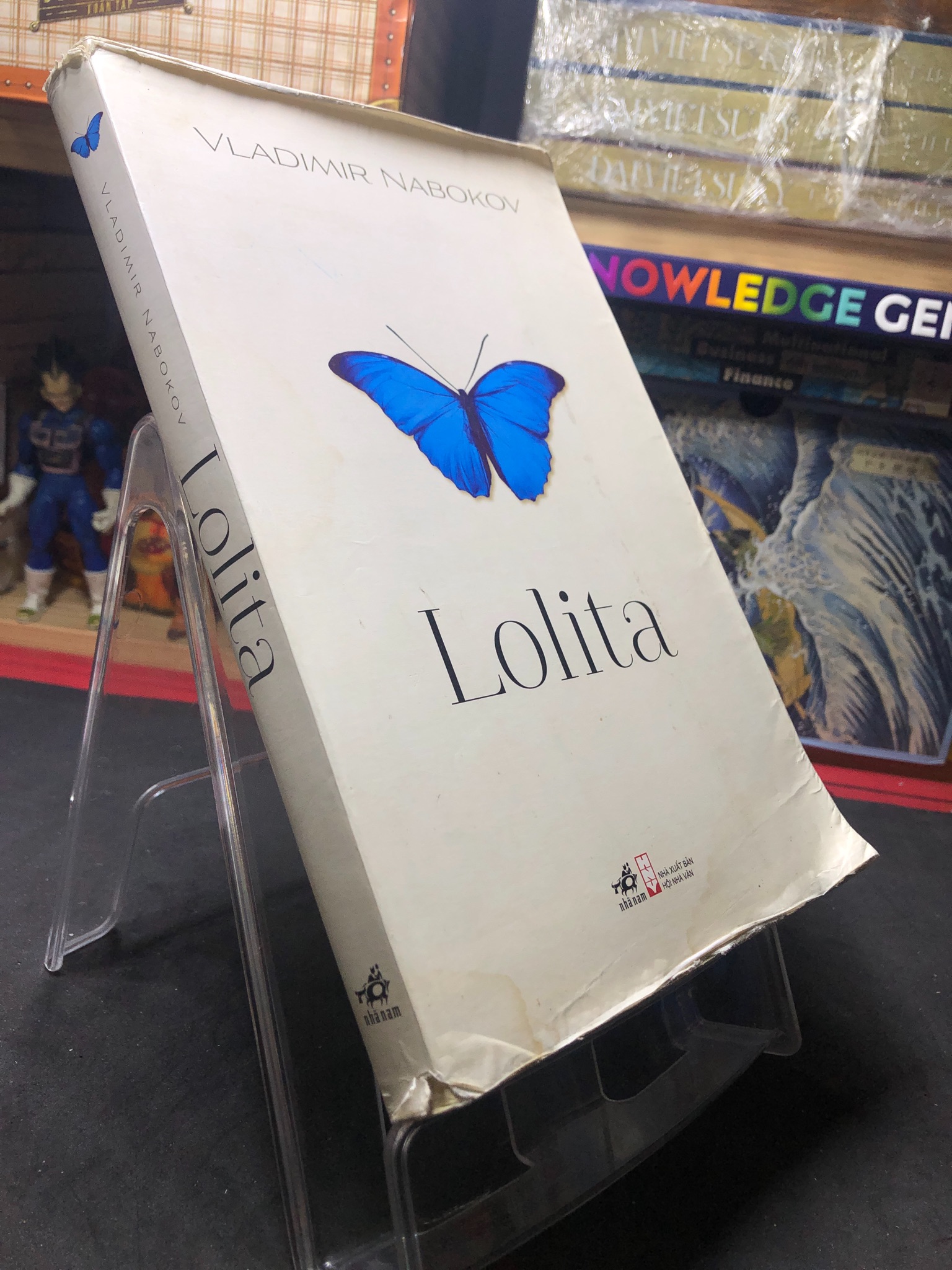 Lolita 2016 mới 80% bẩn nhẹ bụng sách cong ẩm áo sách viết mực trang cuối sách Vladimir Nabokov HPB0207 VĂN HỌC