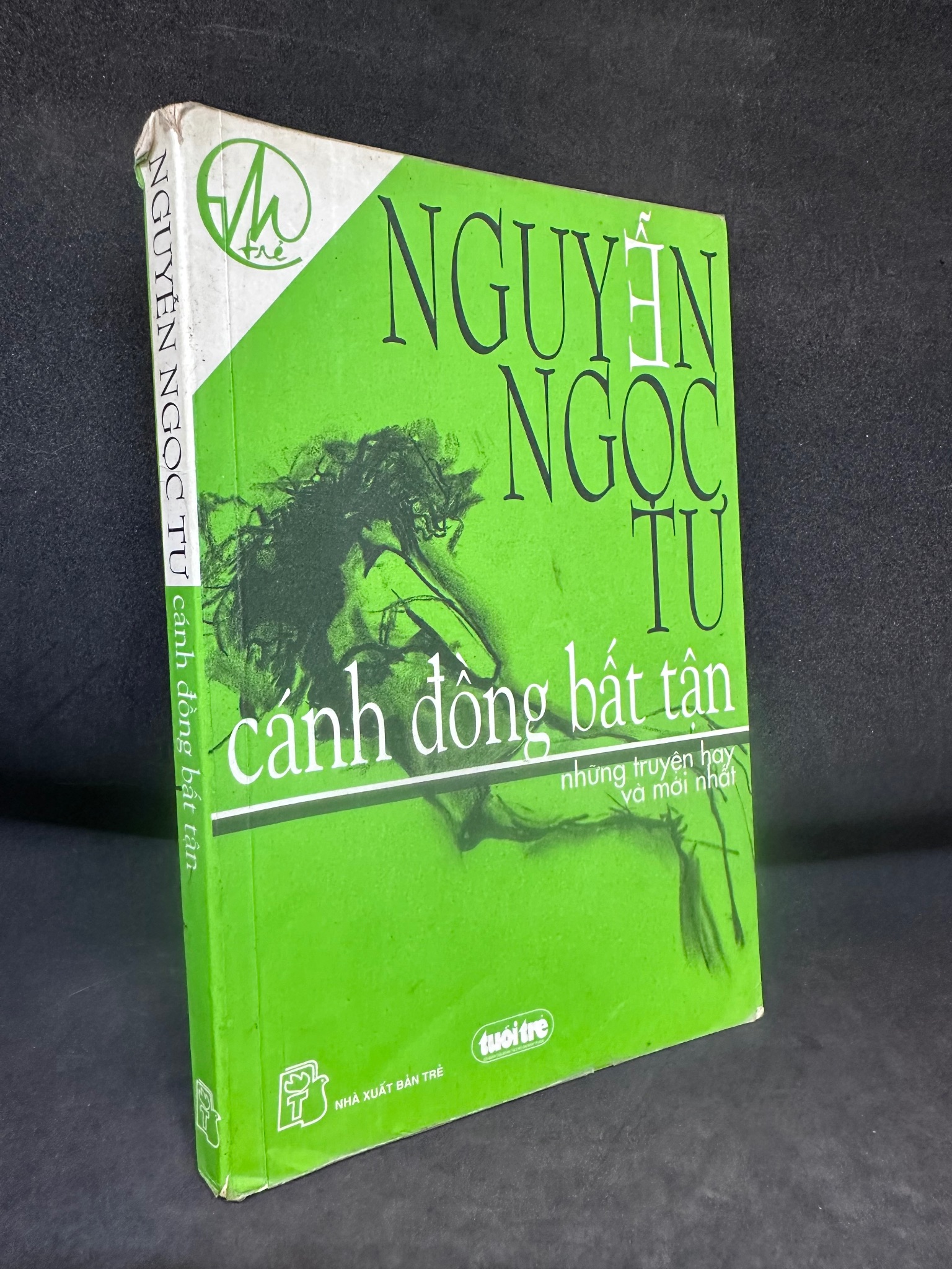 Cánh Đồng Bất Tận Và Những Truyện Hay Nhất, Nguyễn Ngọc Tư, Mới 70% (Ố Vàng), 2006 SBM0307