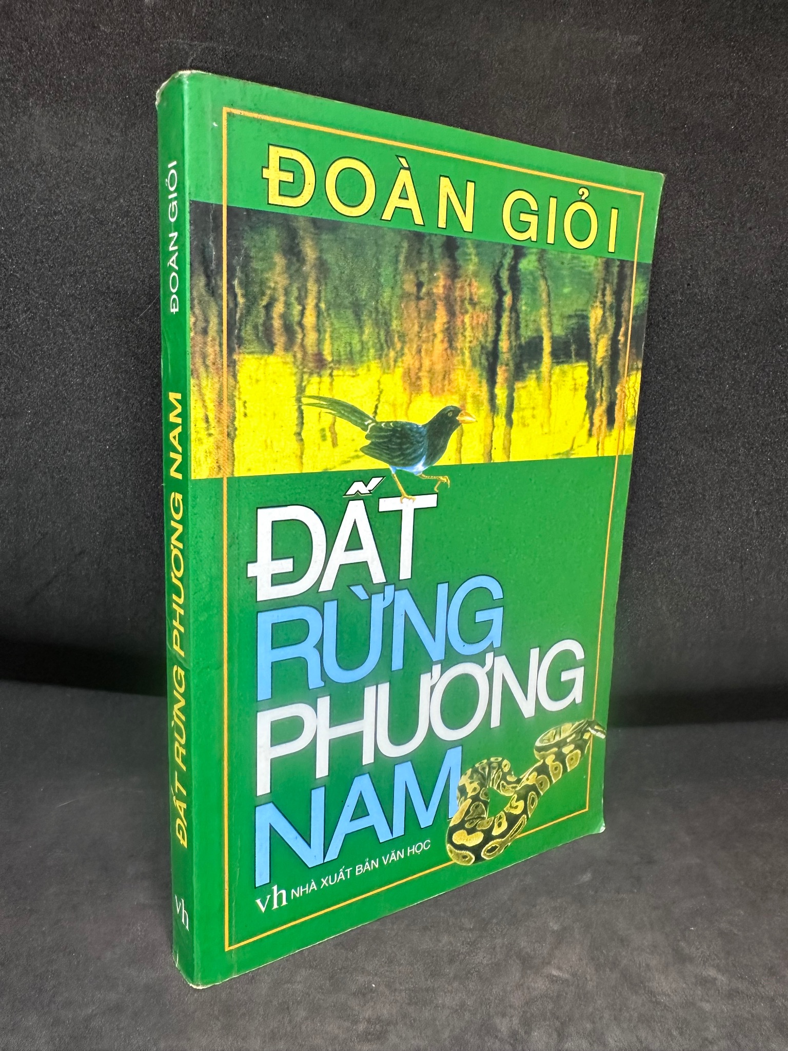 Đất Rừng Phương Nam, Đoàn Giỏi, Mới 70% (Ố Vàng, Có Vết Nước), 2010 SBM0307