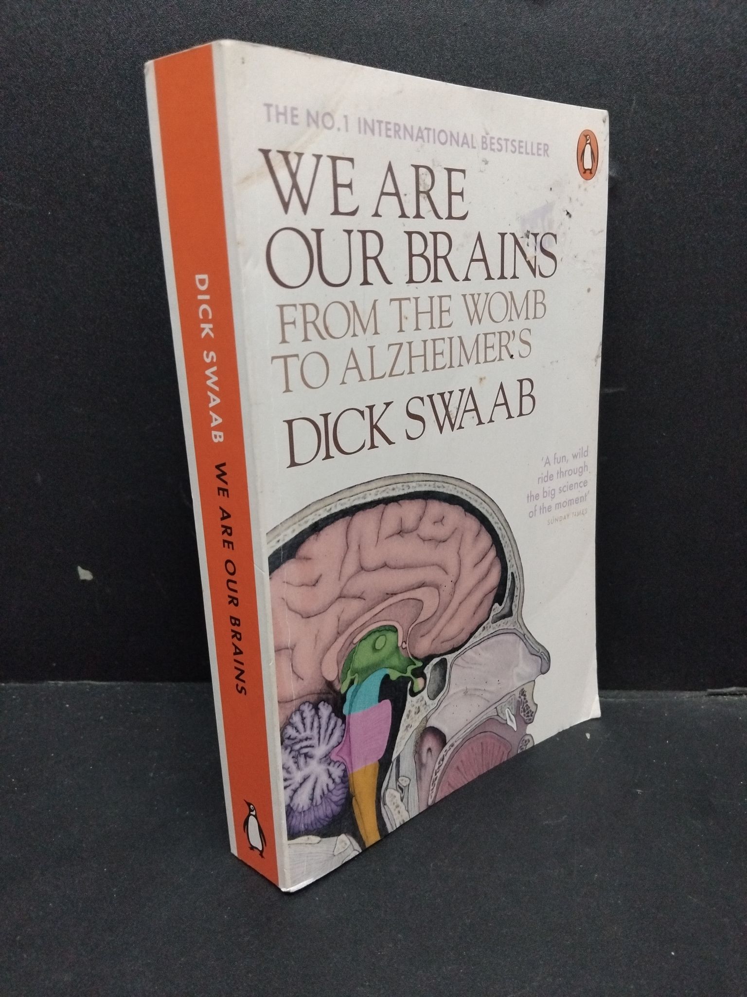 We are our brains mới 70% ố vàng có viết nhẹ 1 trang HCM2207 Dick Swaab NGOẠI VĂN