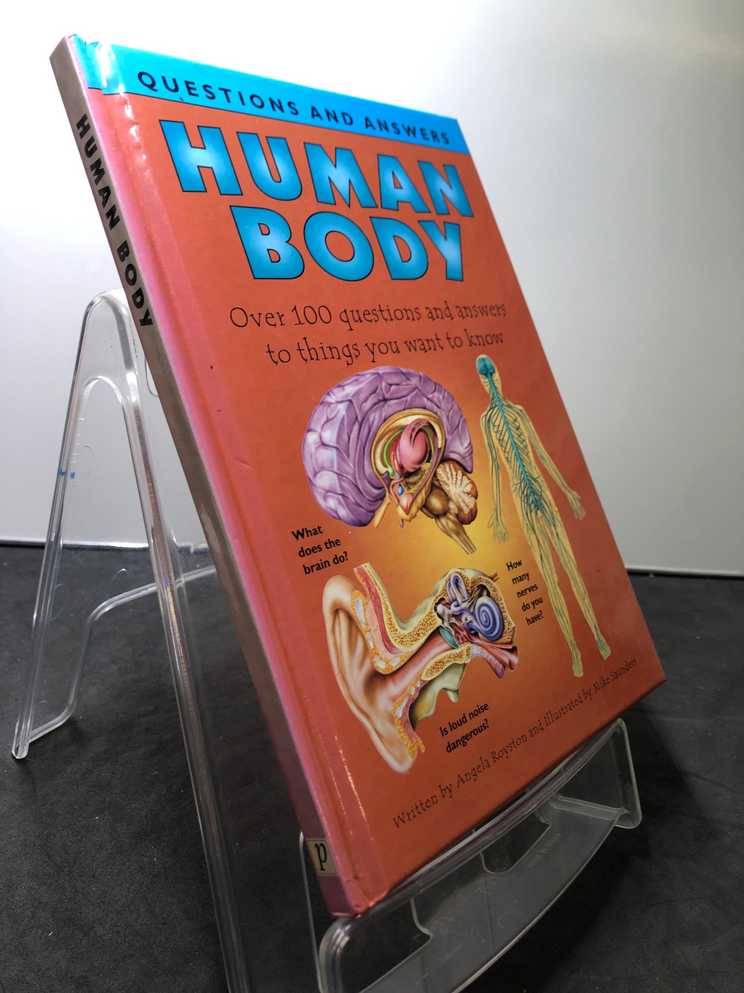 Human Body Over 100 questions and answers to things you want to know BÌA CỨNG mới 85% bẩn nhẹ Angela Royston HPB2707 NGOẠI VĂN