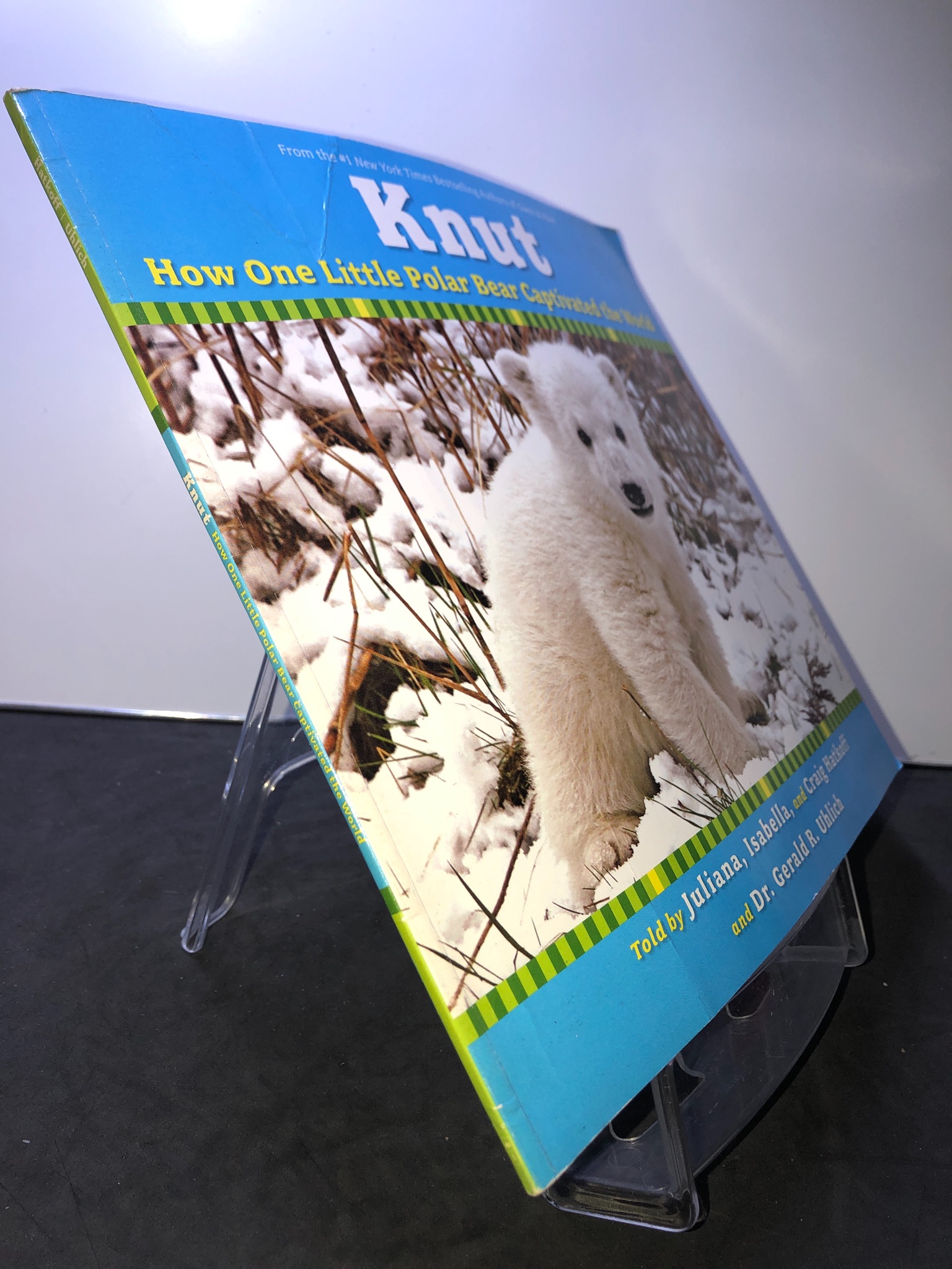 Knut How one little polar bear captivated the world mới 85% bẩn nhẹ Juliana, Isabella, Hatkoff and Uhlich HPB2707 NGOẠI VĂN