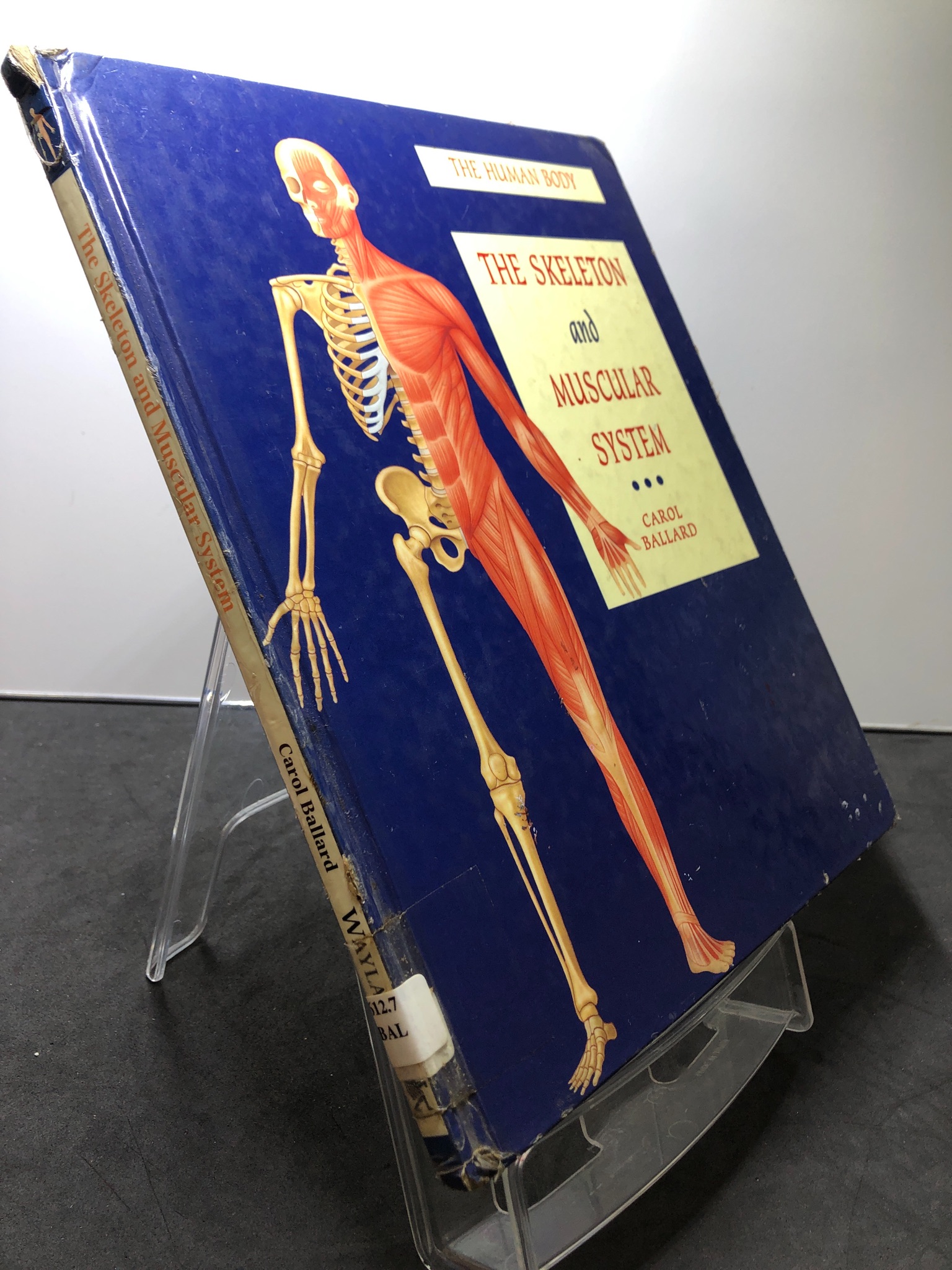 The Skeleton and Muscular System BÌA CỨNG mới 80% bẩn nhẹ Carol Ballard HPB2707 NGOẠI VĂN