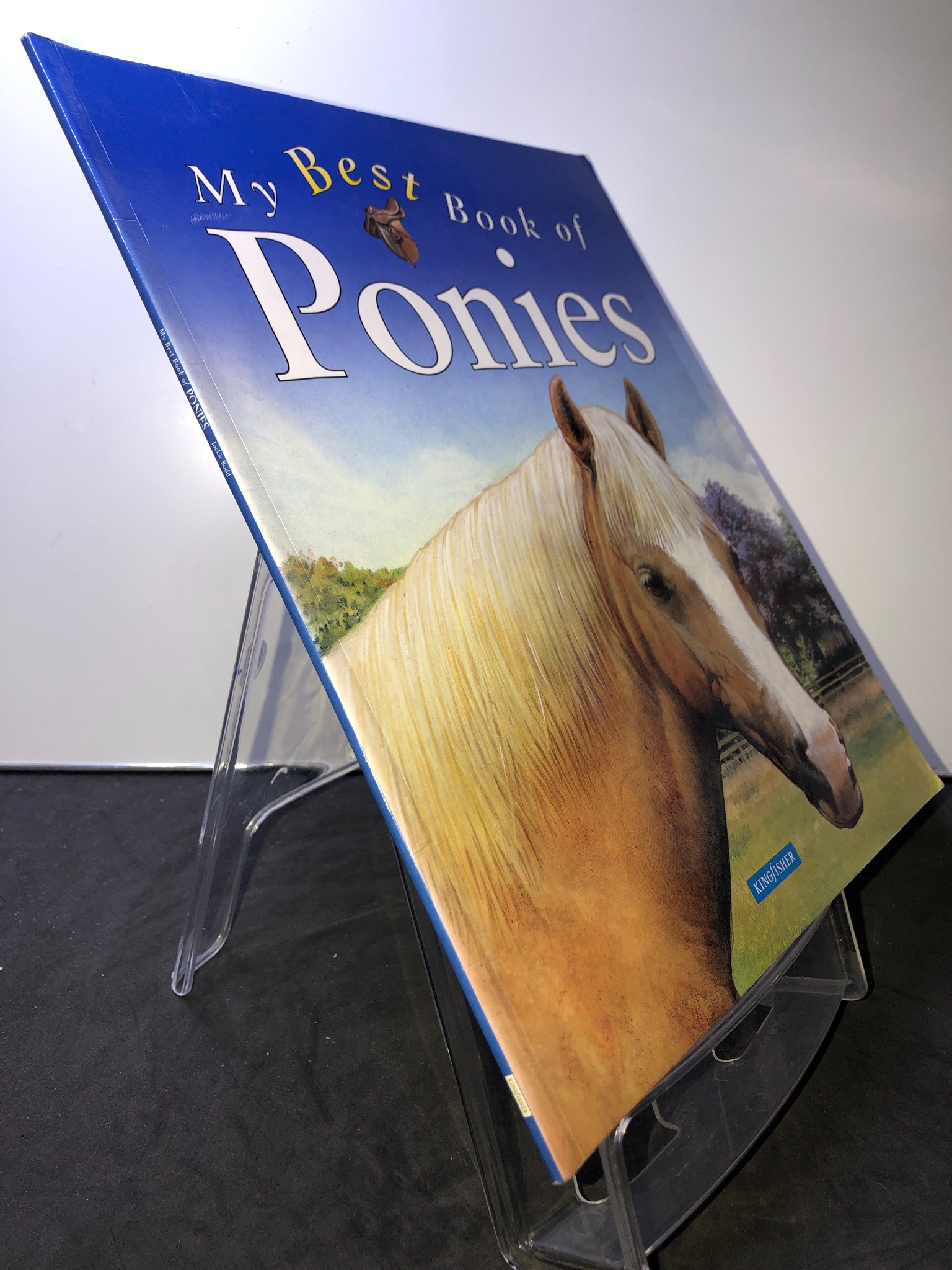 My Best Book of Ponies mới 85% bẩn nhẹ KINGFISHER HPB3107 NGOẠI VĂN