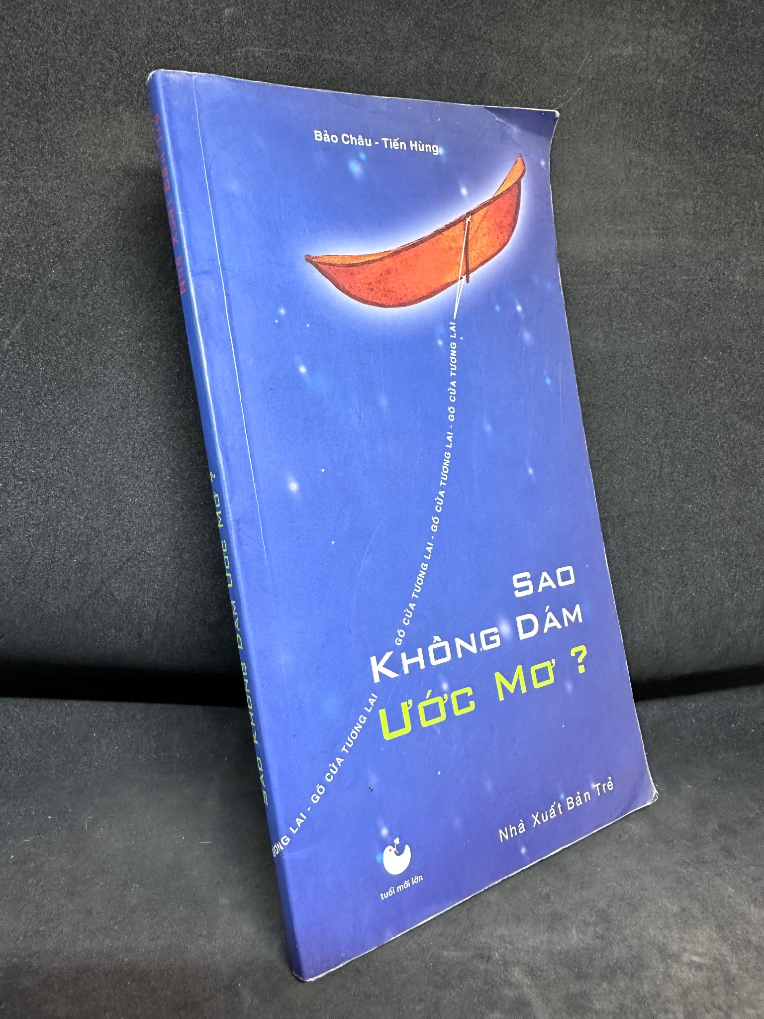 Sao Không Dám Ước Mơ? Bảo Châu, Mới 80% (Ố Nhẹ, Trang Đầu Có Ghi Chữ), 2004 SBM2407