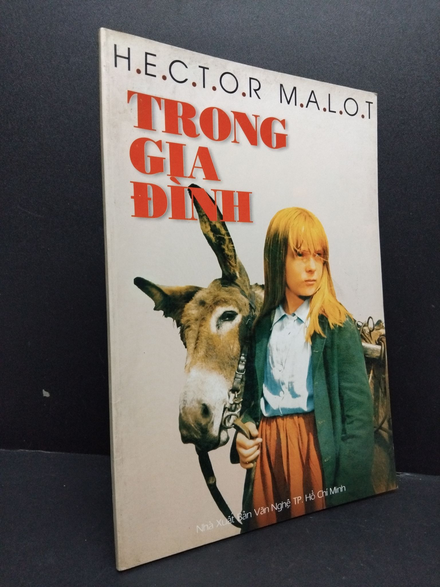 Trong gia đình mới 80% ố bẩn 2000 HCM1008 Hector Malot VĂN HỌC