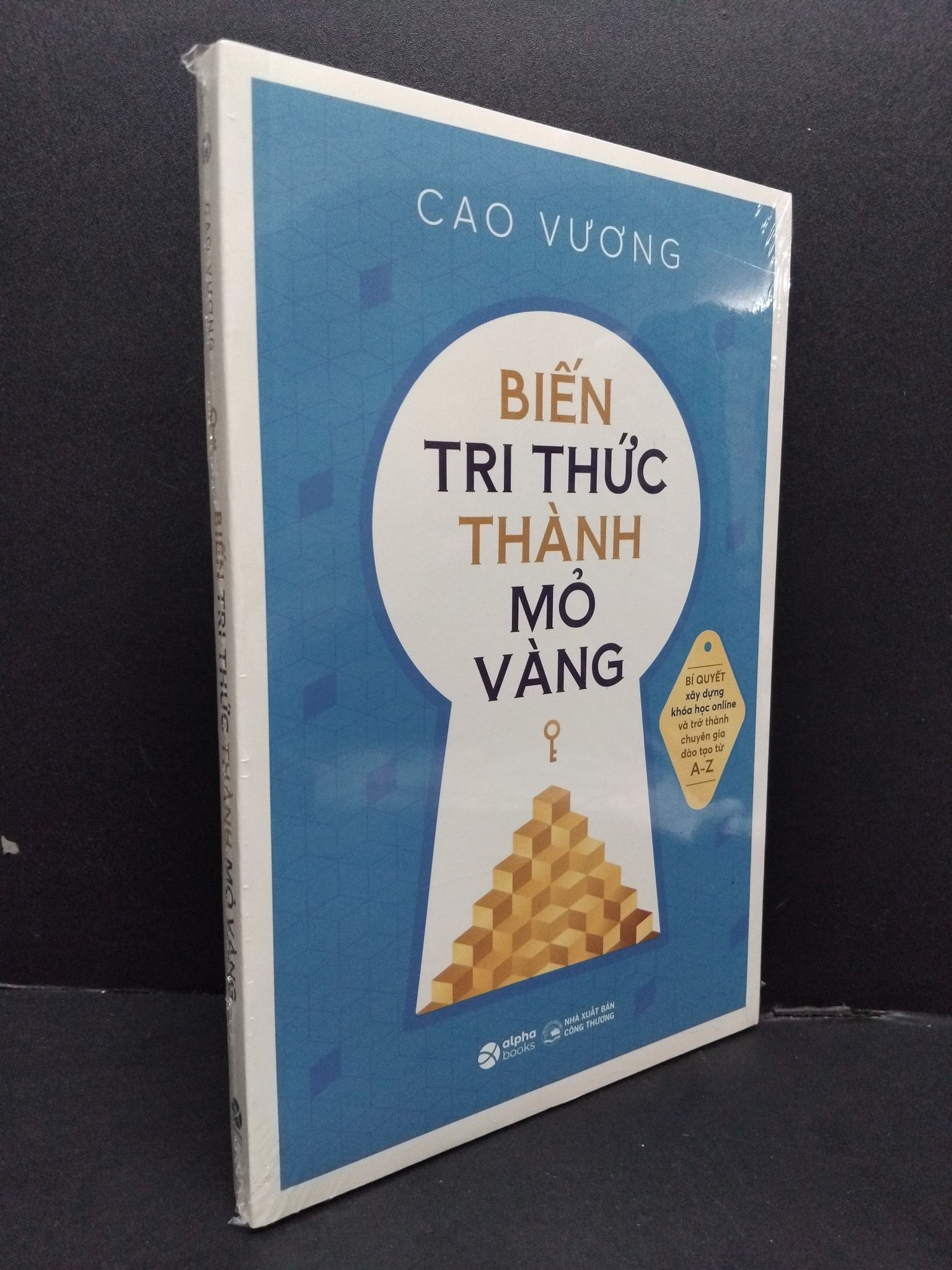 Biến tri thức thành mỏ vàng mới 100% HCM1008 Cao Vương KỸ NĂNG