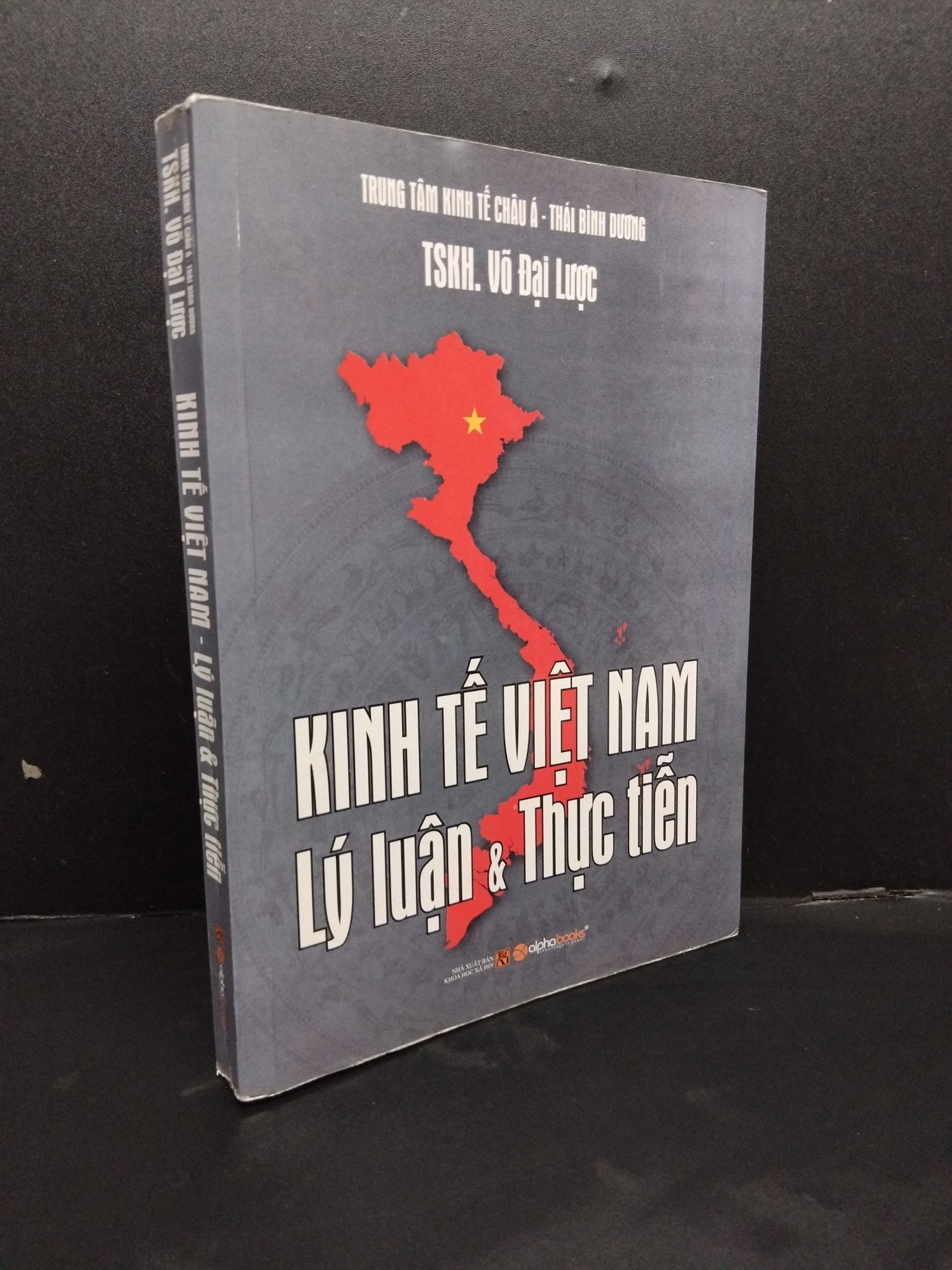 Kinh tế Việt Nam - Lý luận và thực tiễn mới 80% ố nhẹ 2011 HCM1008 TSKH. Võ Đại Lược KINH TẾ - TÀI CHÍNH - CHỨNG KHOÁN