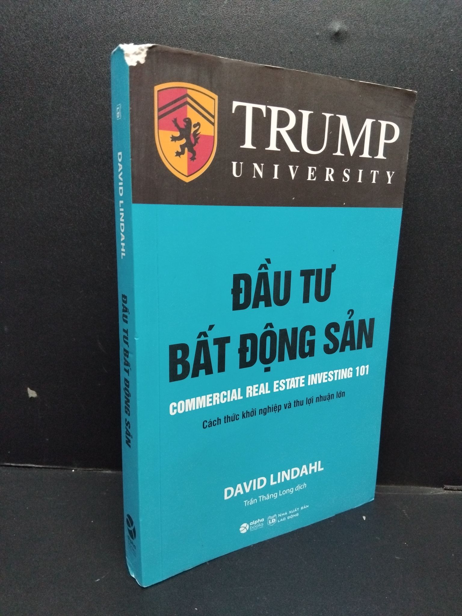 Đầu tư bất động sản David Lindahl mới 80% rách góc bẩn nhẹ 2021 HCM.ASB0609