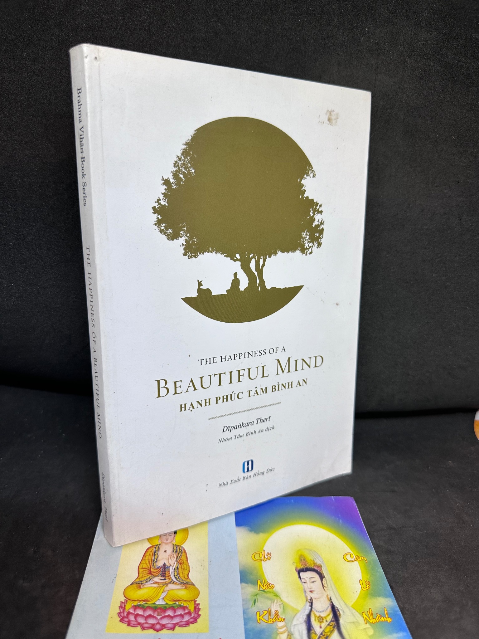 The Happiness Of A Beautiful Mind, Hạnh Phúc Tâm Bình An, Dipankara Theri, Mới 90%, 2018 SBM0609