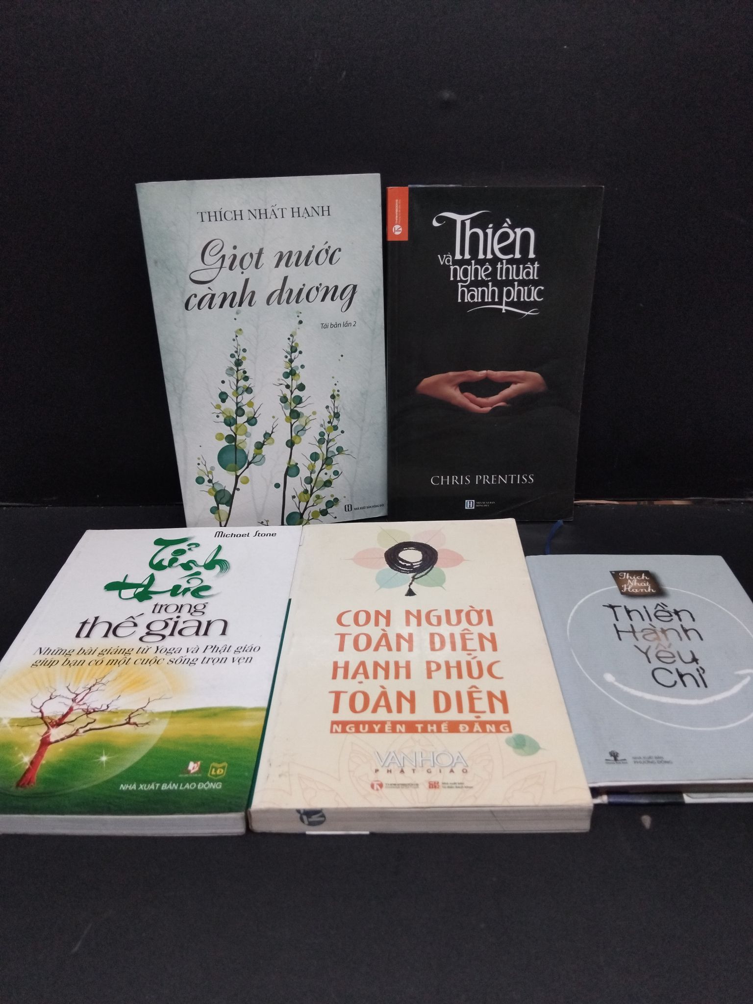 Combo sách tôn giáo thiền - Thiền và nghệ thuật hạnh phúc + Thiền hành yếu chỉ + Con người toàn diện, hạnh phúc toàn diện + Tỉnh thức trong thới gian + Giọt nước cành dương mới 80% ố CHP0510