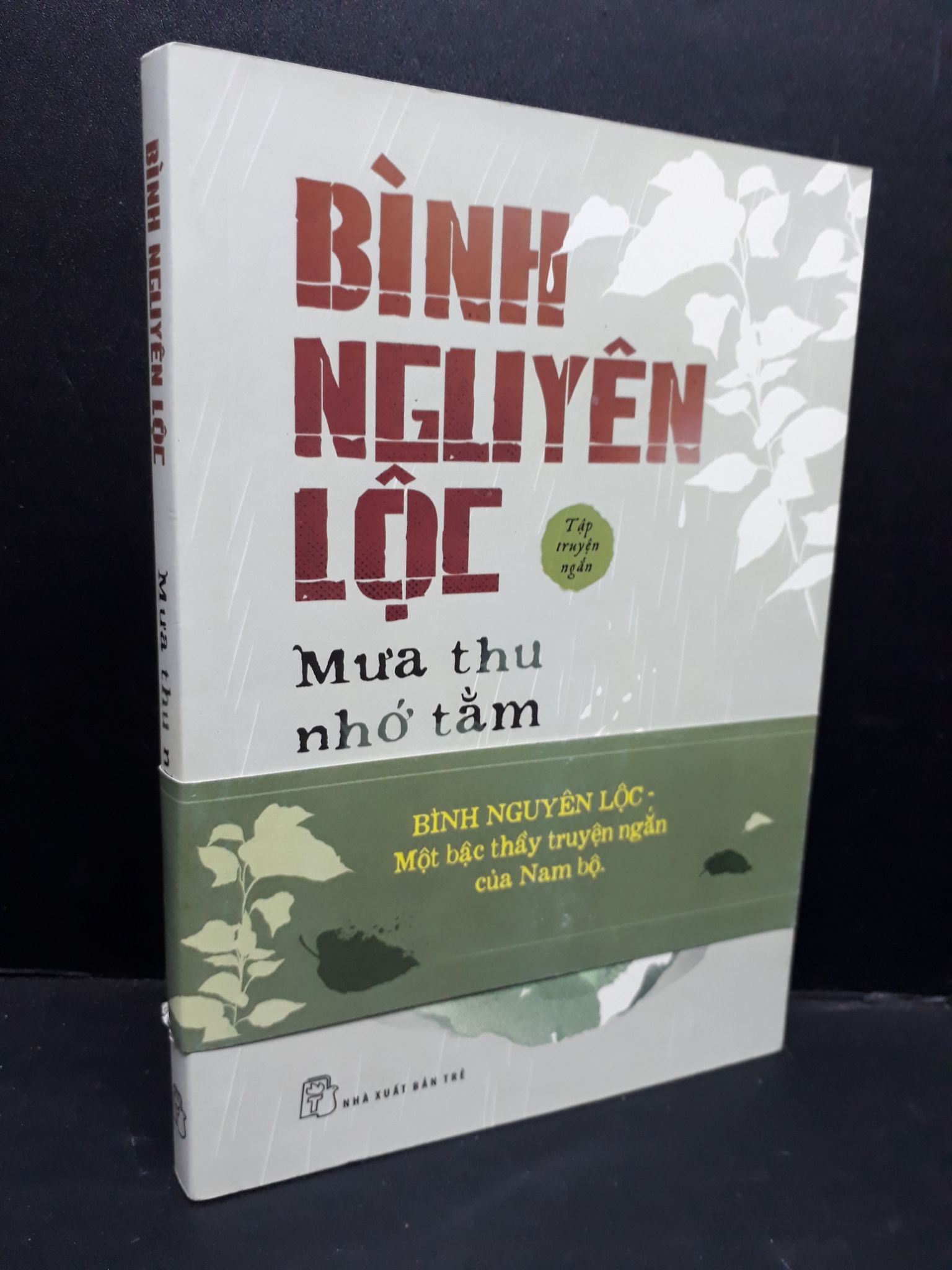 Mưa thu nhớ tằm mới 90% bẩn nhẹ 2021 HCM1410 Bình Nguyên Lộc VĂN HỌC