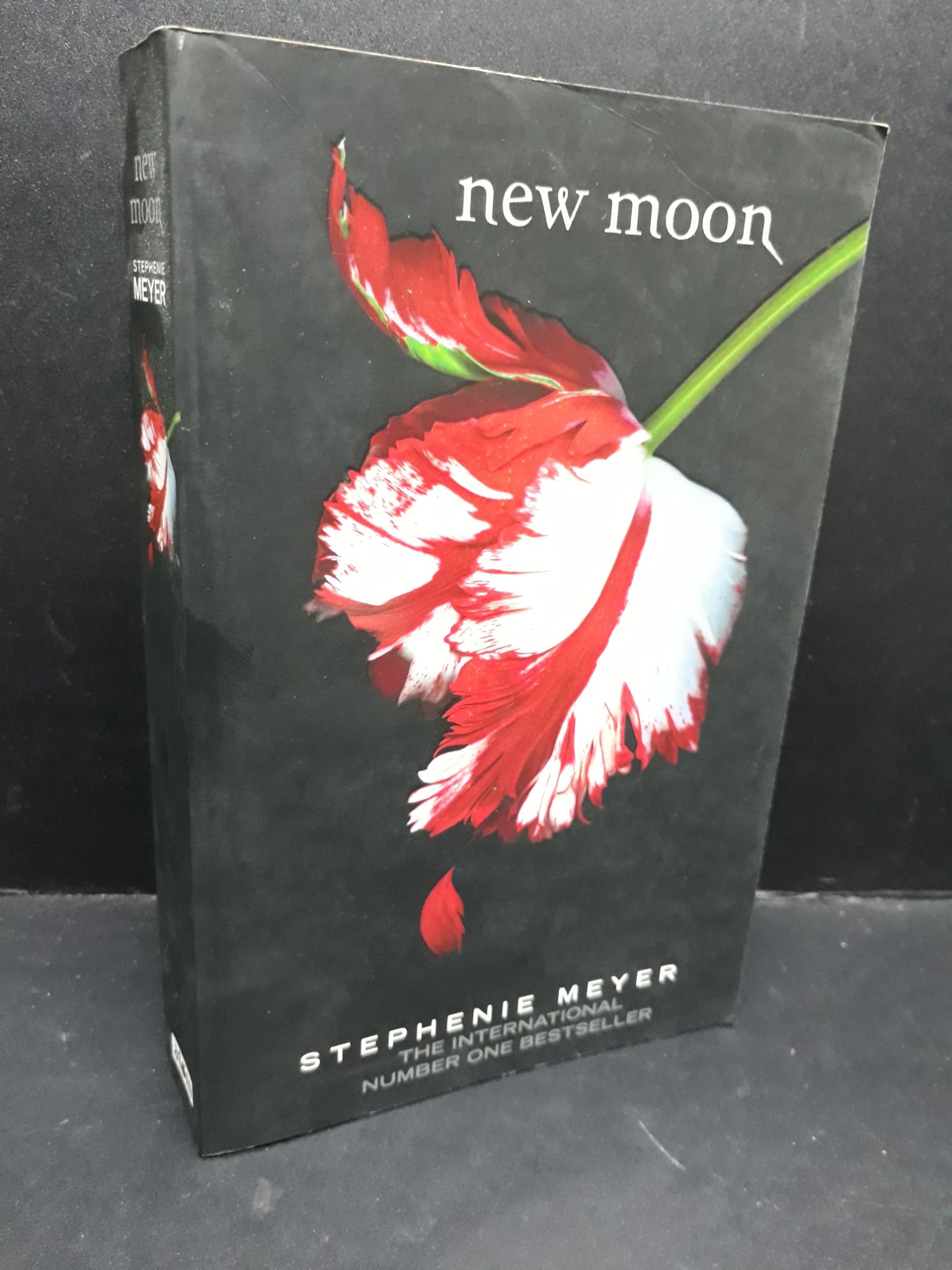 New moon mới 80% bẩn bìa, ố vàng HCM1410 Stephenie Meyer NGOẠI VĂN