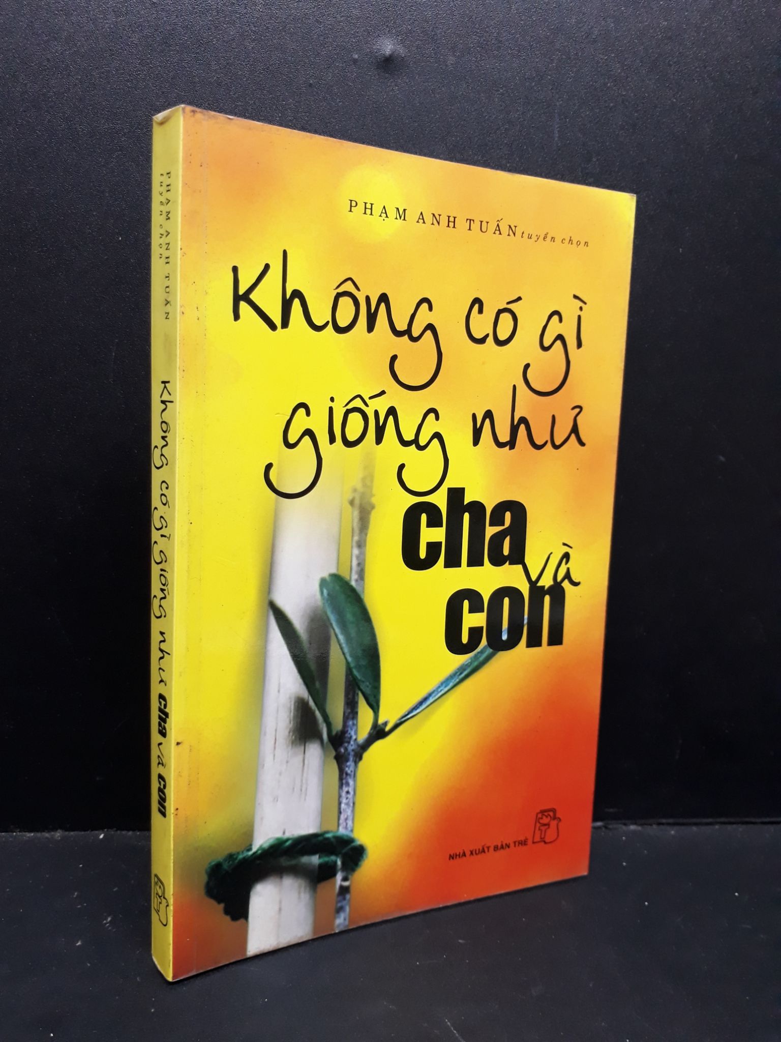 Không có gì giống như cha và con mới 80% bẩn bìa, ố nhẹ, tróc gáy nhẹ 2007 HCM1410 Phạm Anh Tuấn VĂN HỌC