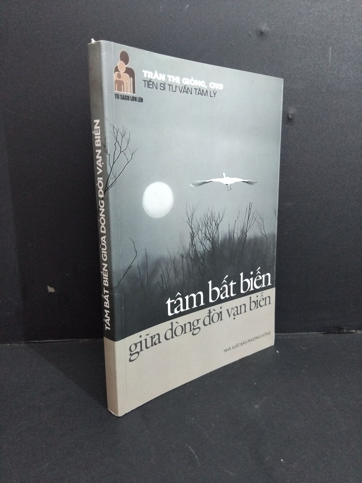 Tâm bất biến giữa dòng đời vạn biến mới 80% có vết mực vẽ, bẩn bìa, ố nhẹ 2010 HCM2811 Trần Thị Giống TÂM LÝ