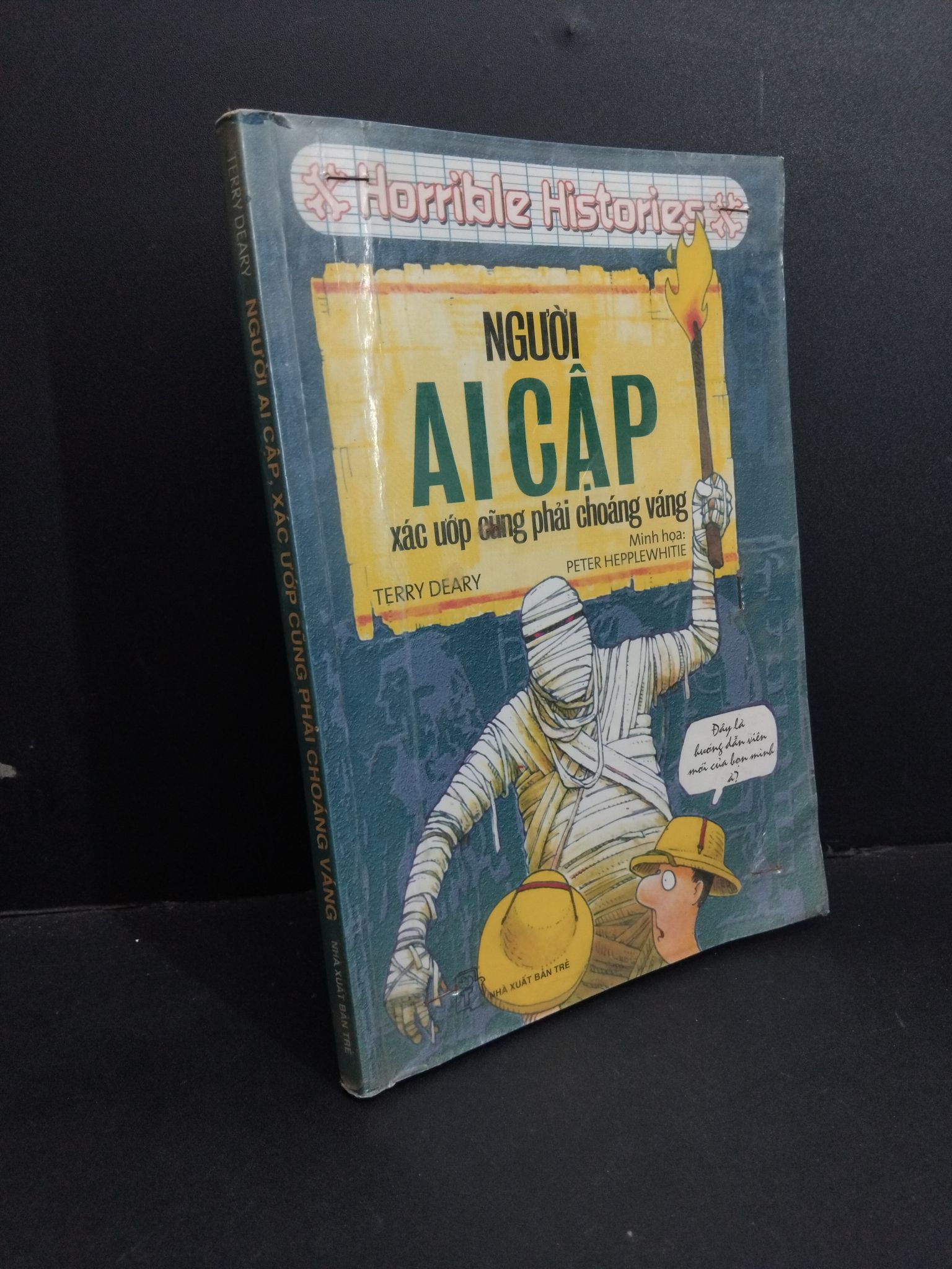 Người Ai Cập, xác ướp Ai Cập cũng phải choáng váng mới 80% ố vàng có mộc gấp bìa 2011 HCM2811 Terry Deary KHOA HỌC ĐỜI SỐNG