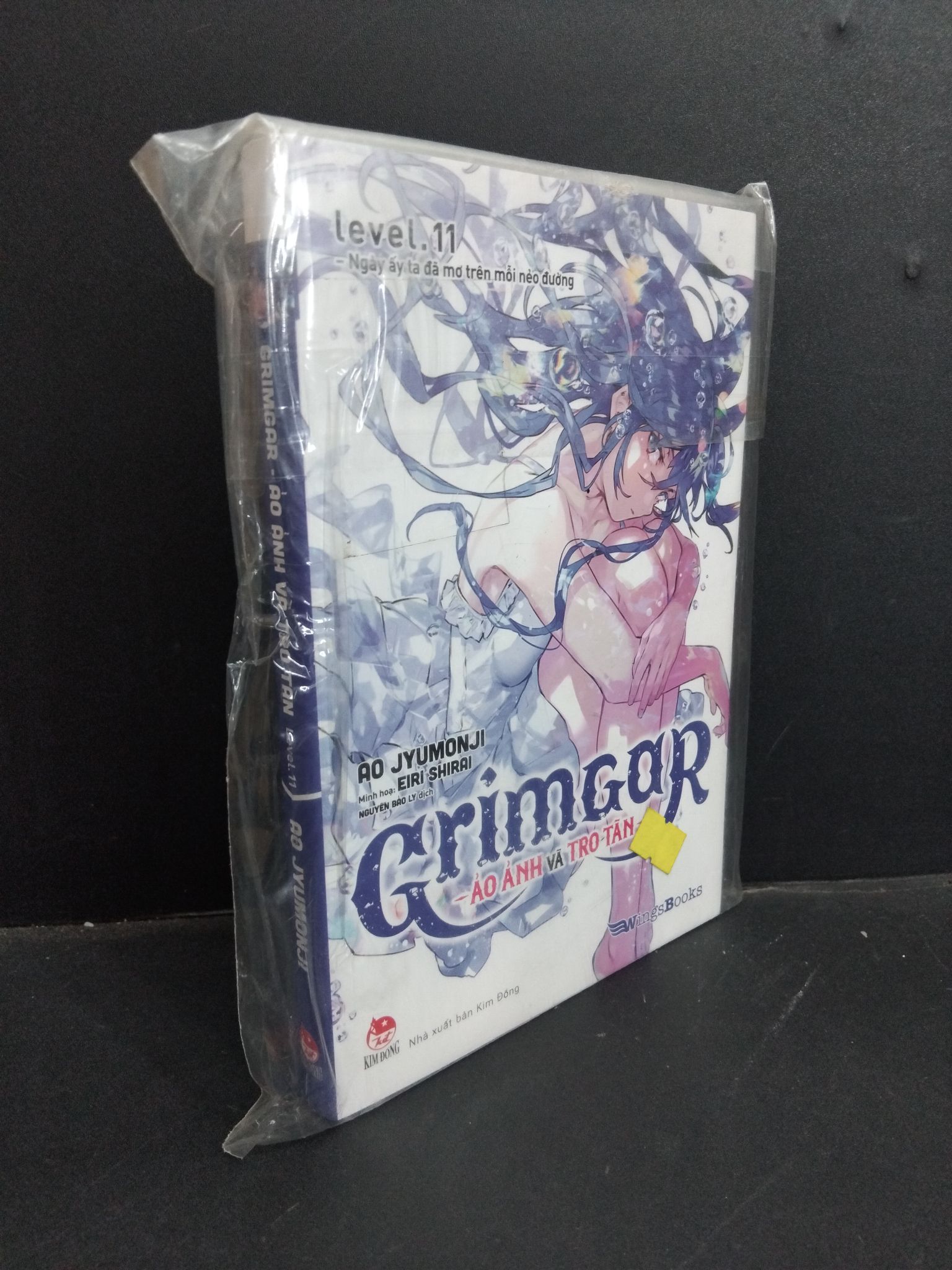 Grimgar Ảo ảnh và tro tàn Level 11 mới 100% HCM0612 Ao Jyumonji TRUYỆN TRANH