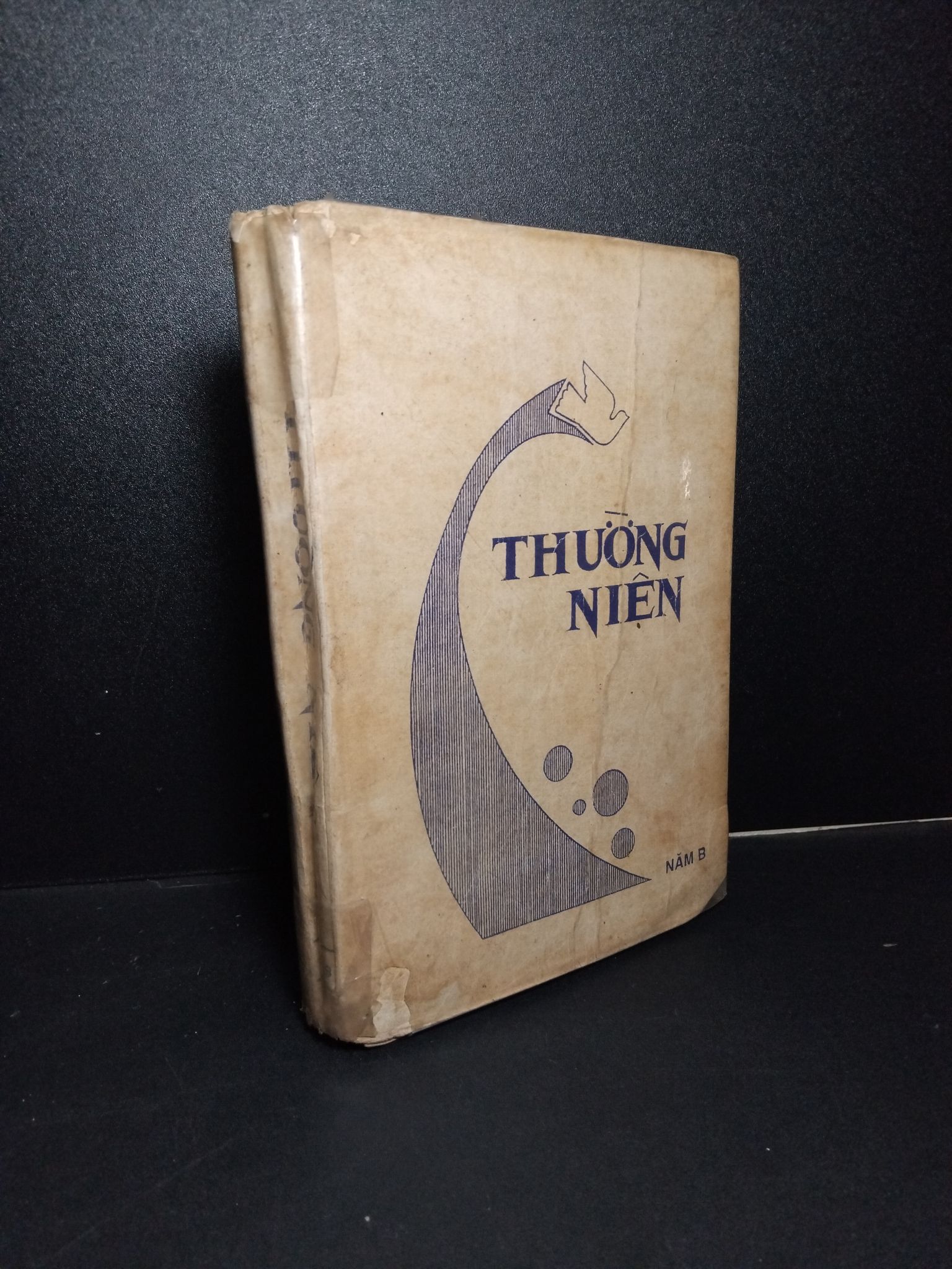 Thường niên năm B 70% ố vàng bong trang rách HCM1001 TÂM LINH - TÔN GIÁO - THIỀN