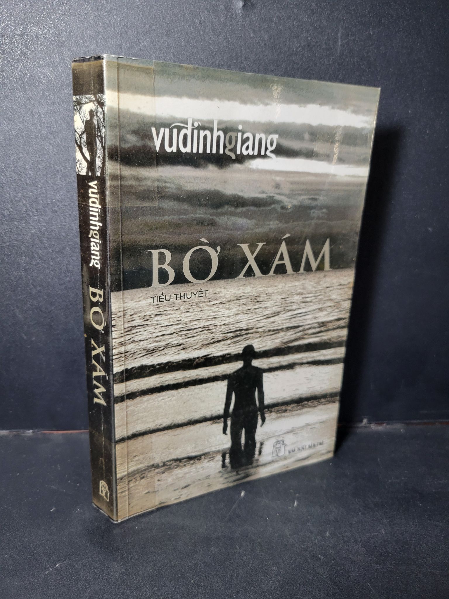 Bờ xám mới 90% bẩn nhẹ 2010 HCM1001 Vũ Đình Giang VĂN HỌC