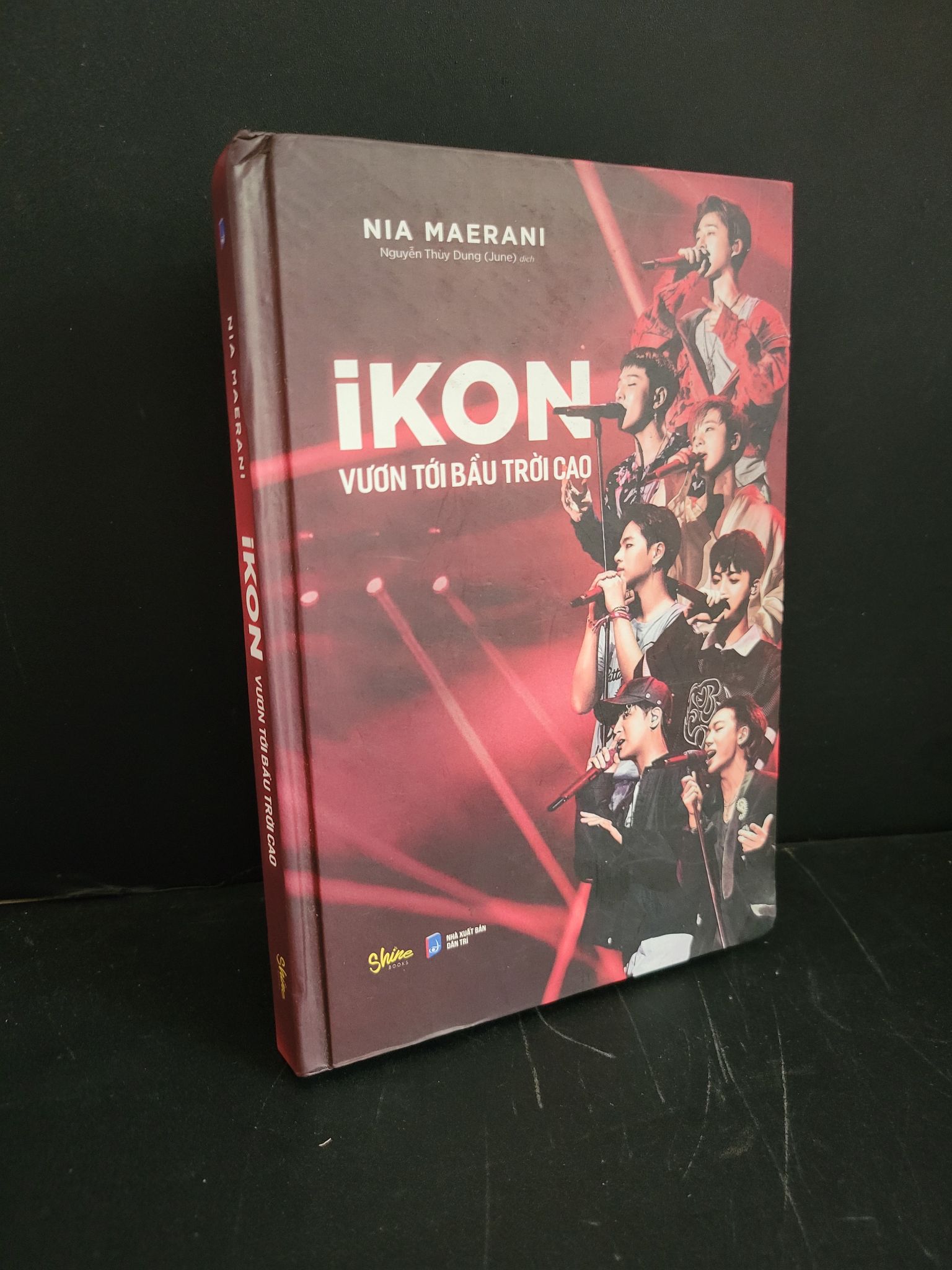 IKON vươn tới bầu trời cao (bìa cứng) mới 90% bẩn nhẹ 2020 Nia Maerani HCM3004 DANH NHÂN
