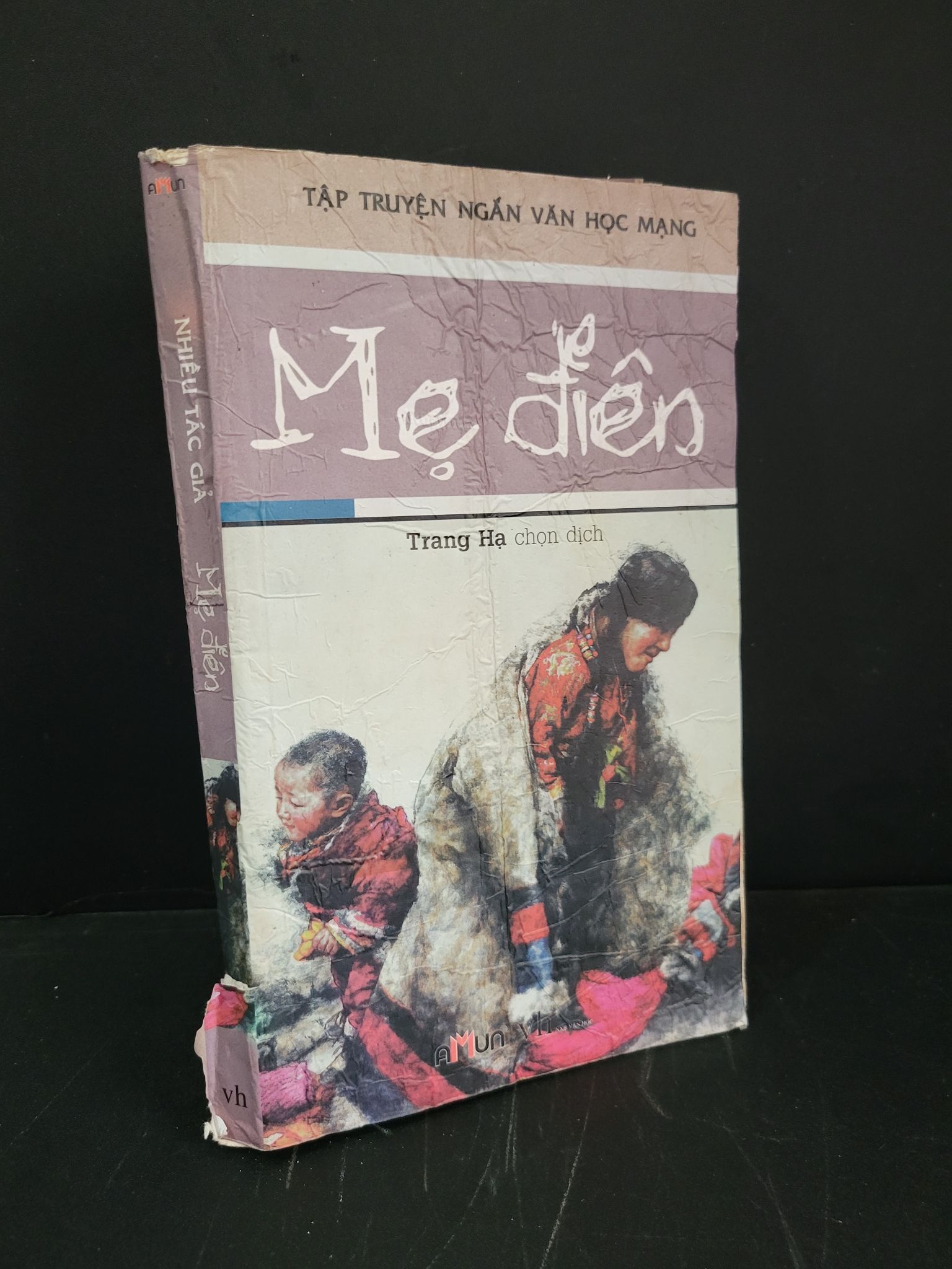 Mẹ điên mới 60% bẩn bìa, ố, bị ẩm, rách gáy, bị mốc 2013 Nhiều tác giả HCM3004 VĂN HỌC