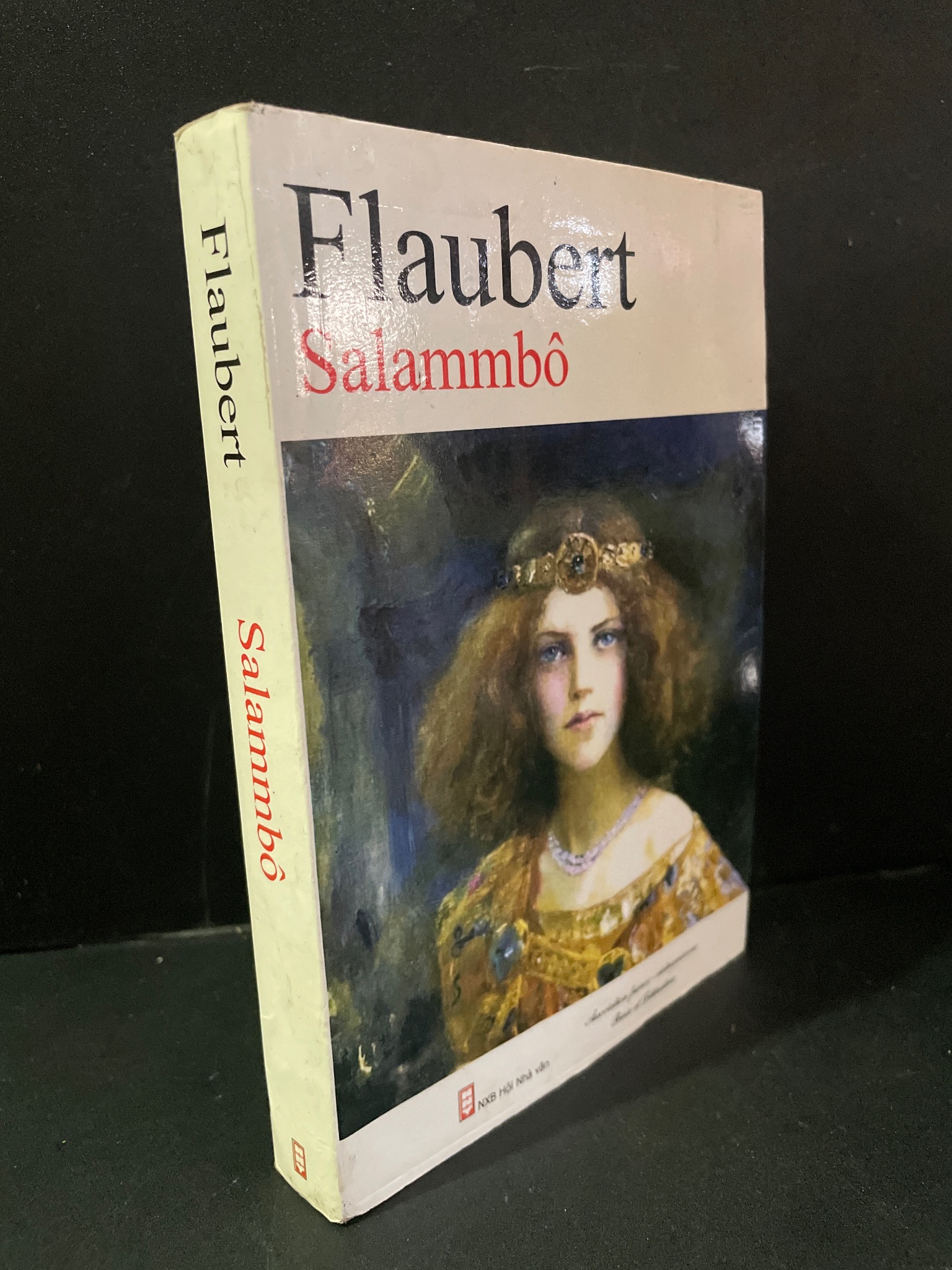 Salammbo mới 70% bẩn bìa, ố nhẹ, bị ẩm 2014 Gustave Flaubert HCM3004 VĂN HỌC