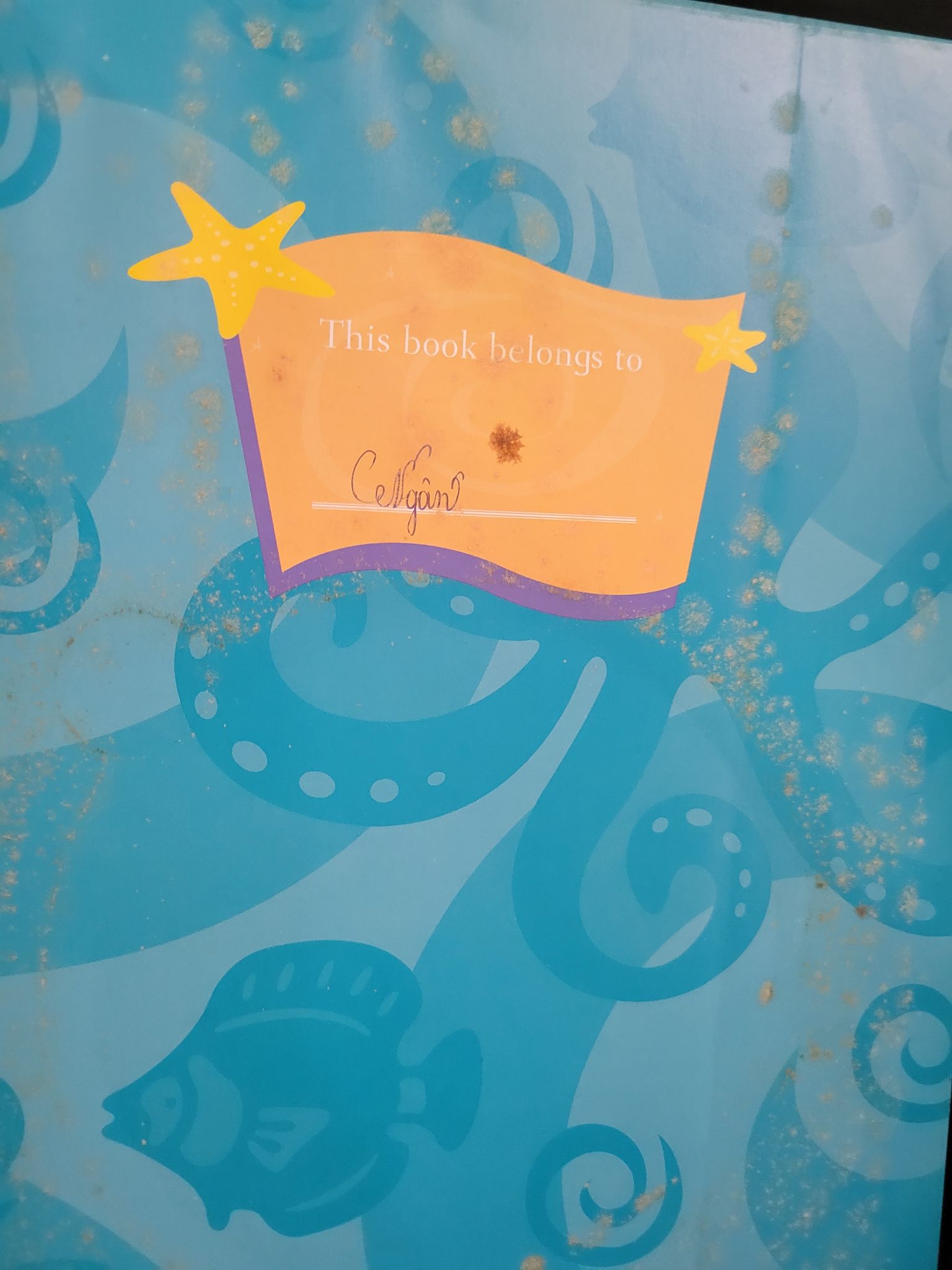 The little mermaid (bìa cứng, sách màu, kèm CD) mới 90% bẩn nhẹ, có chữ viết Disney HCM3004 NGOẠI VĂN