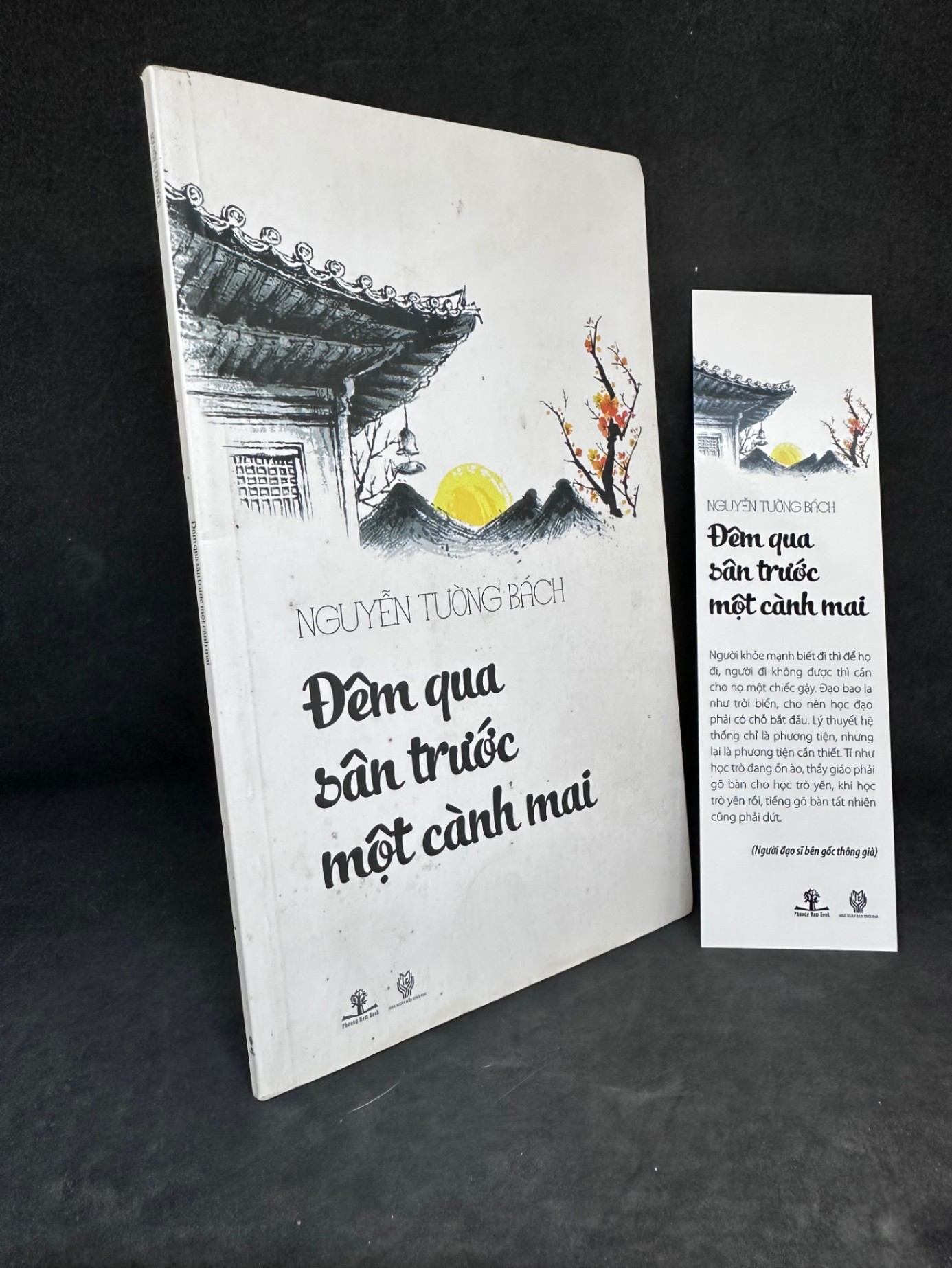 [Phiên Chợ Sách Cũ] Đêm Qua Sân Trước Một Cành Mai, Nguyễn Tường Bách, 2013 1304 SBM