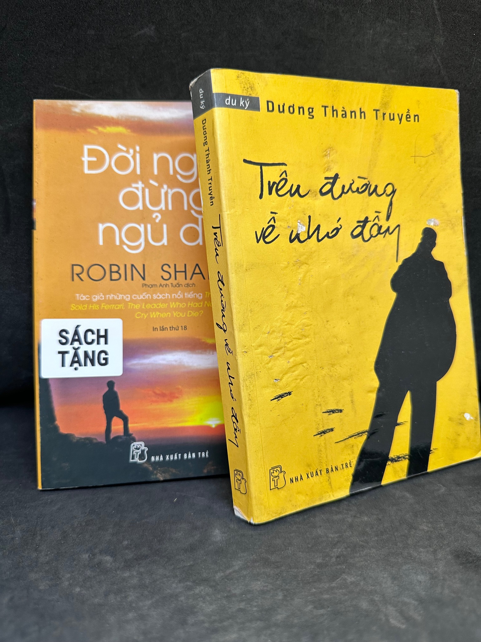 [Phiên Chợ Sách Cũ] Trên Đường Về Nhớ Đầy (Sách Tặng Kèm), Dương Thành Truyền, 2015 1304 SBM