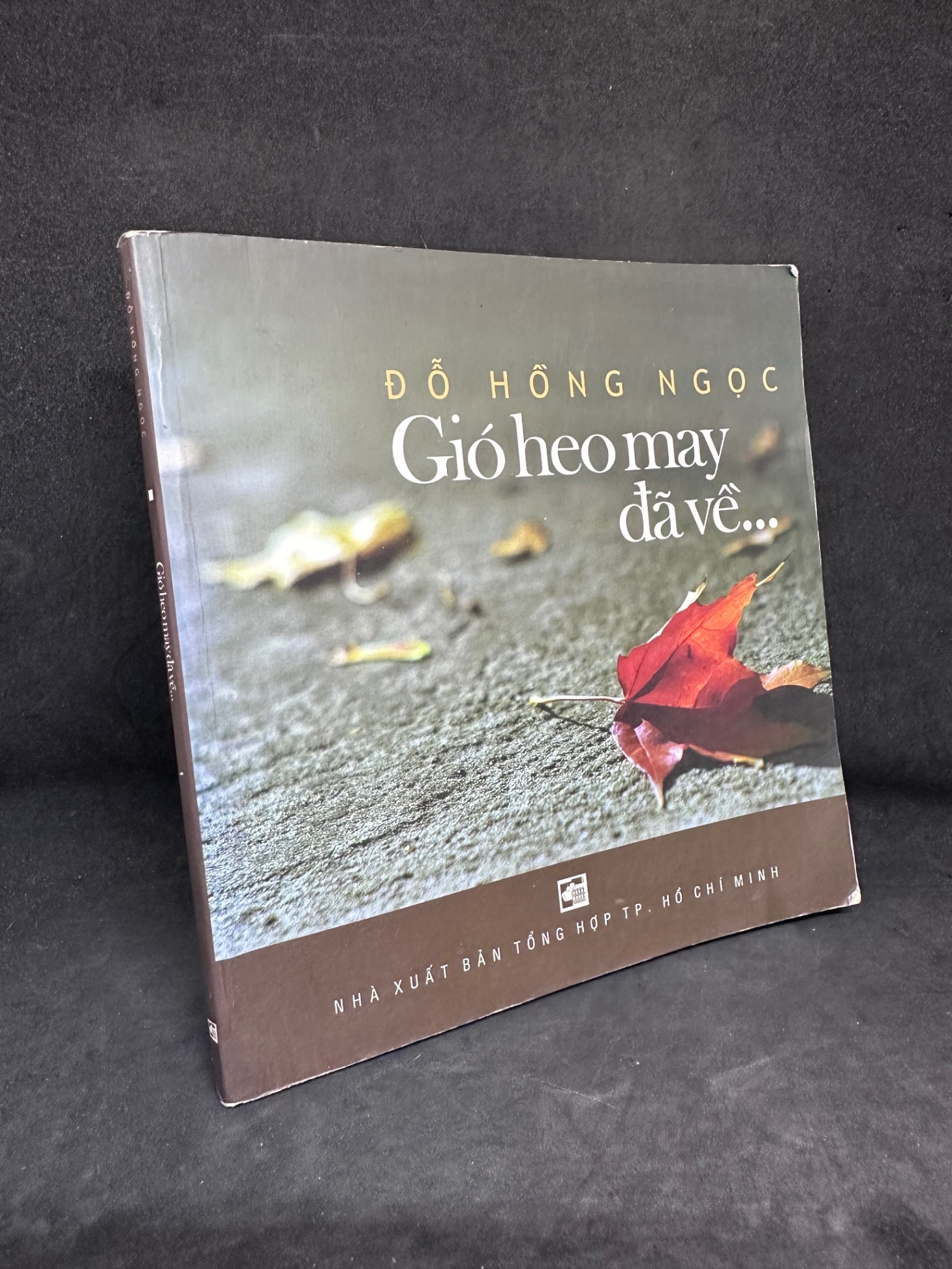 [Phiên Chợ Sách Cũ] Gió Heo May Đã Về - Đỗ Hồng Ngọc 1304, 2014 SBM