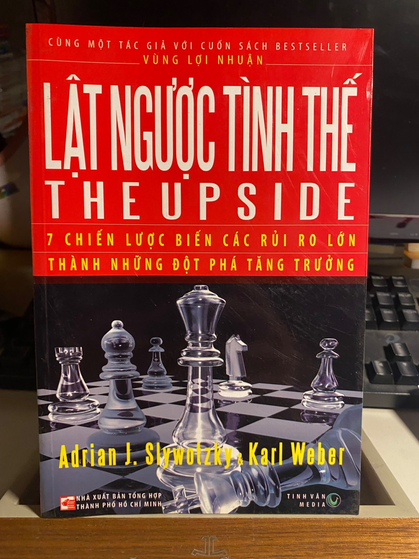 Lật Ngược Tình Thế (The Upside) - 7 Chiến Lược Biến Các Rủi Ro Lớn Thành Những Đột Phá Tăng Trưởng- Sách lưu kho mới 90% STB764