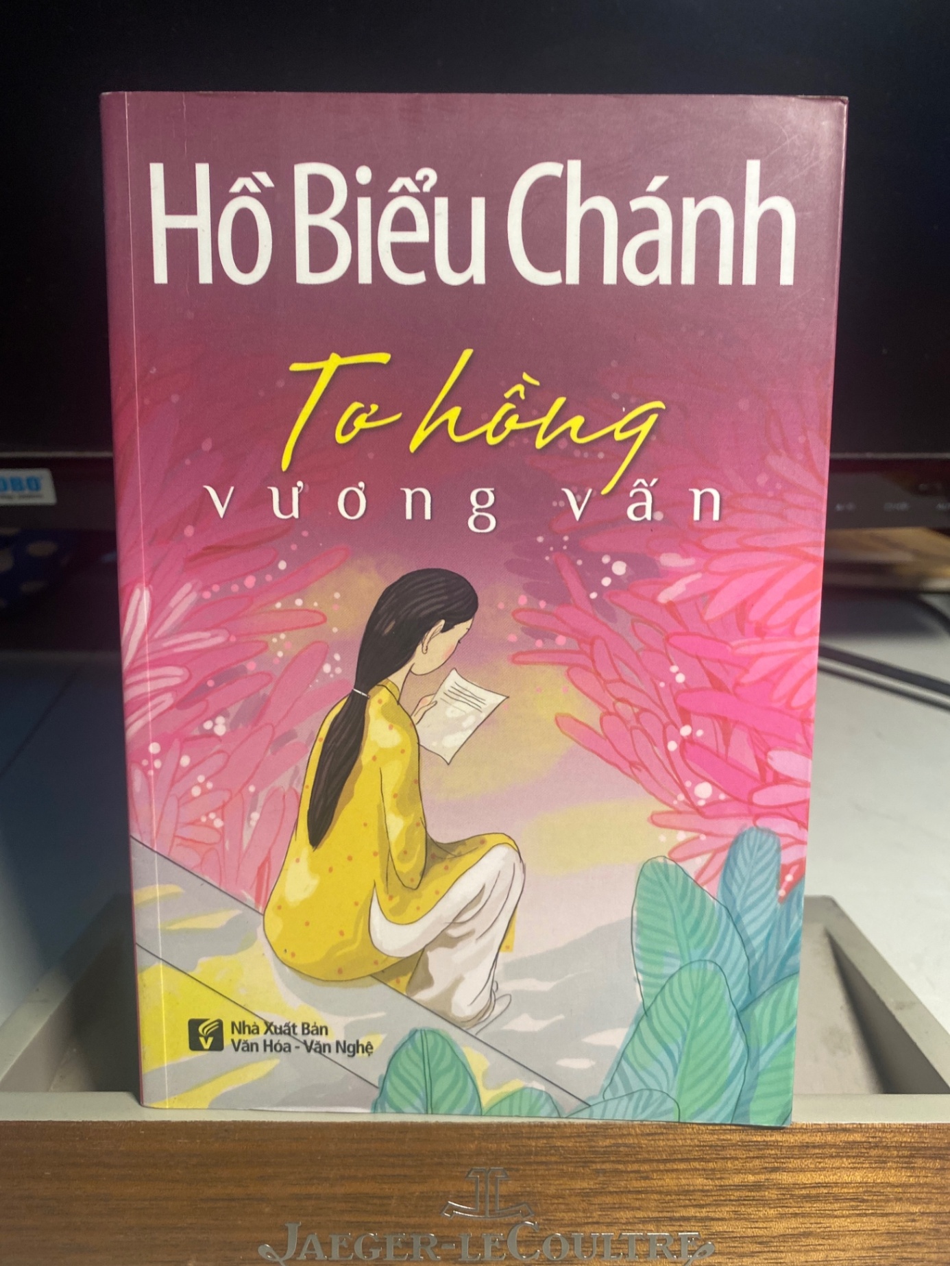 Tơ Hồng Vương Vấn- Hồ Biểu Chánh-NXB Văn Hoá Văn Nghệ 2017- Sách mới 98% STB1253