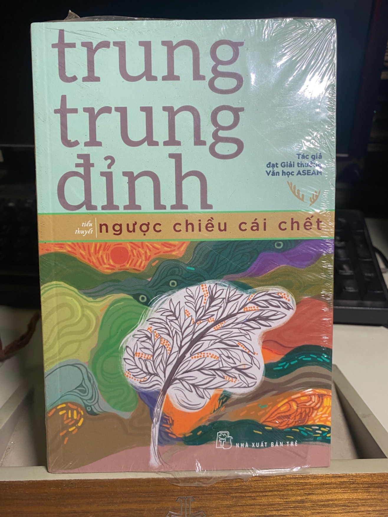 Ngược Chiều Cái Chết- Trung Trung Đỉnh- Tiểu thuyết-NXB Trẻ-Sách lưu kho mới 90% STB1065