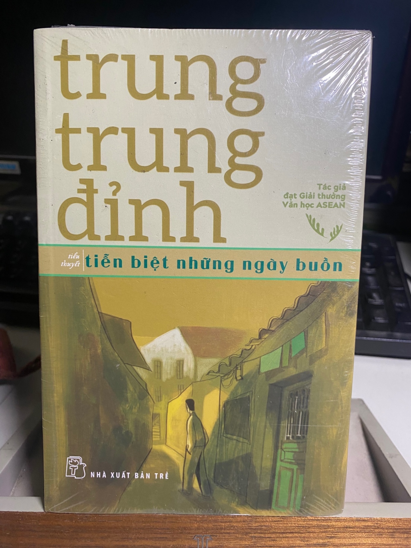 Tiễn Biệt Những Ngày Buồn- Trung Trung Đỉnh- Tiểu thuyết-NXB Trẻ- Sách lưu kbo mới 90% STB1066