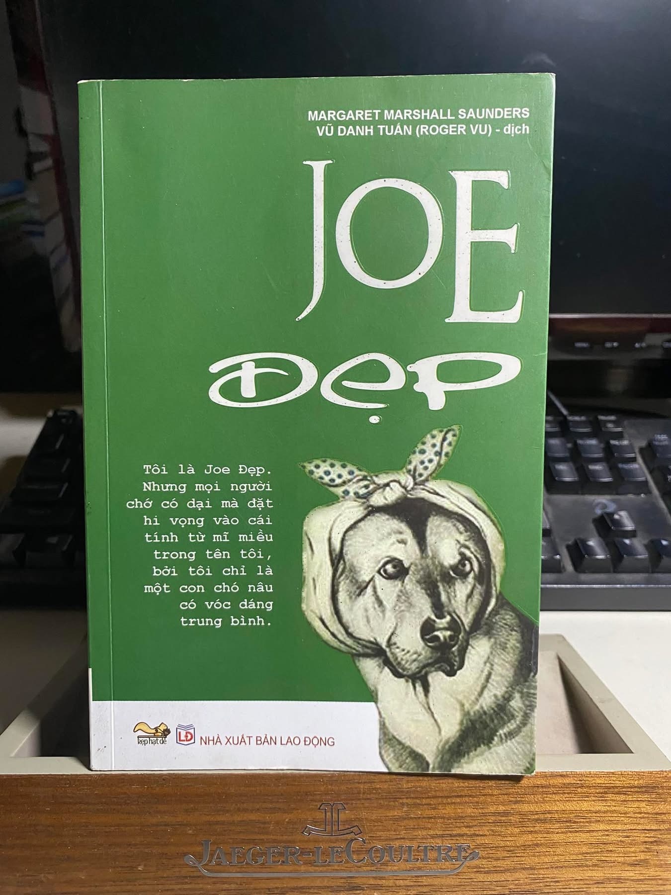 Joe Đẹp- Margaret Marshall Saunders -Tiểu thuyết- Sách mới 85% STB1124