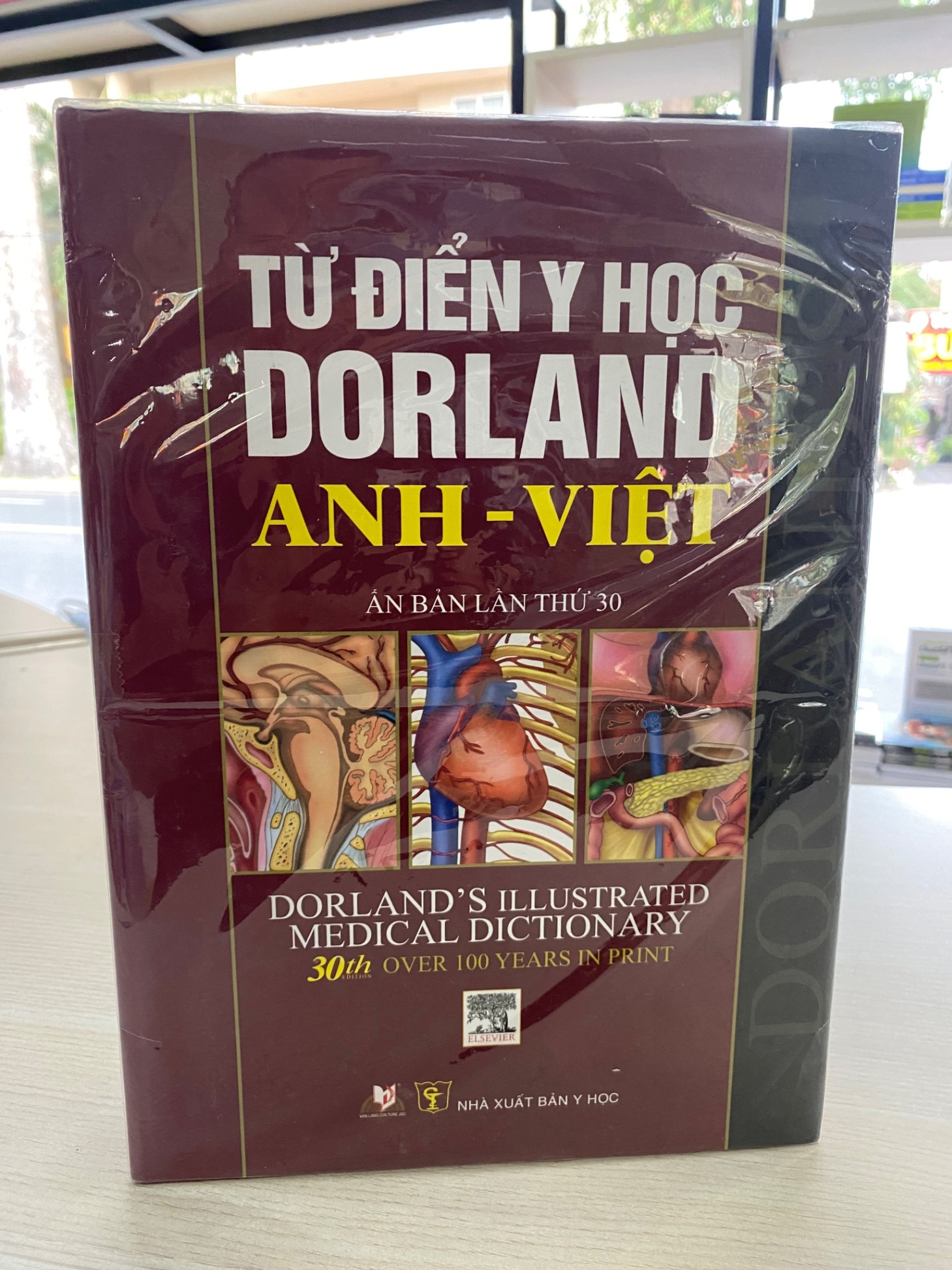 Từ Điển Y Học DorLand Anh - Việt STB815