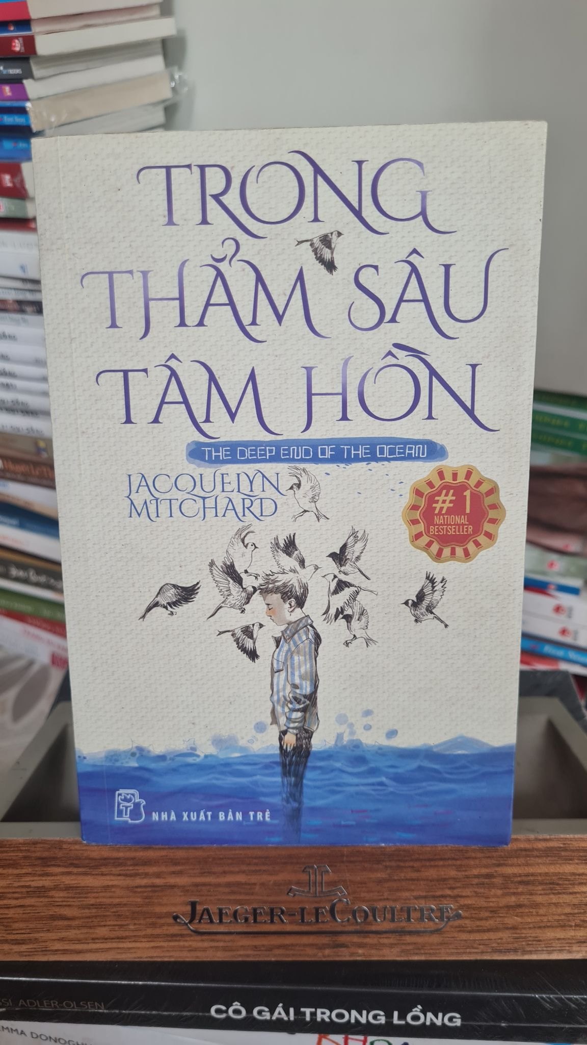 Trong thẩm sâu tâm hồn -Sách lưu kho mới 80% có ố- 2014-acquelyn Mitchard STB117