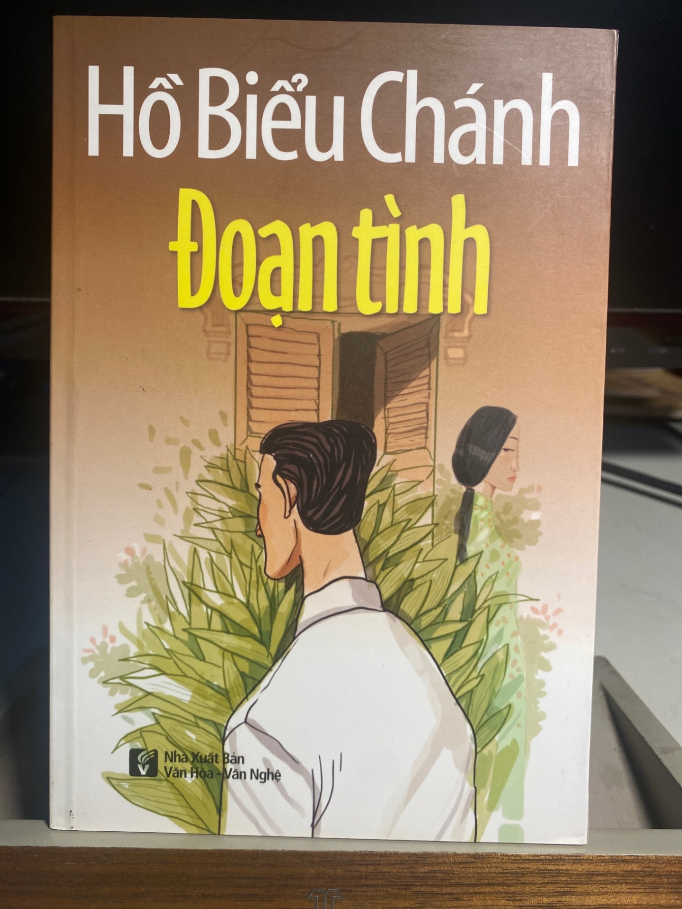 Đoạn Tình - Hồ Biểu Chánh- NXB Văn Hoá Văn Nghệ 2017- Sách lưu kho mới 95% STB1255