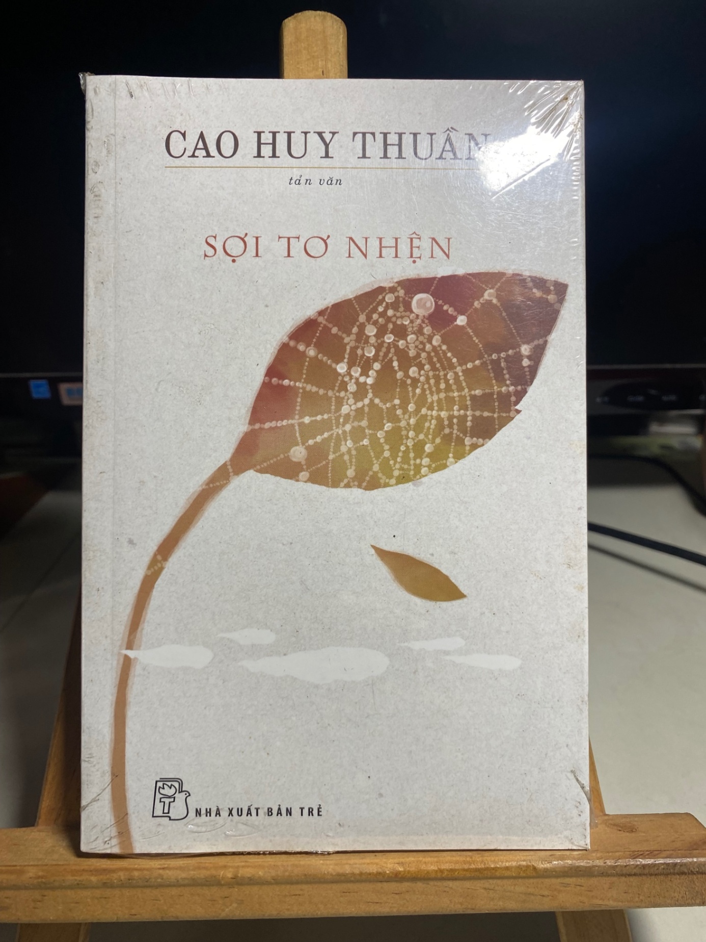 Sợi Tơ Nhện- Tác giả: Cao Huy Thuần -NXB Trẻ -Sách nguyên seal , giấy xốp có ố cạnh STB1411