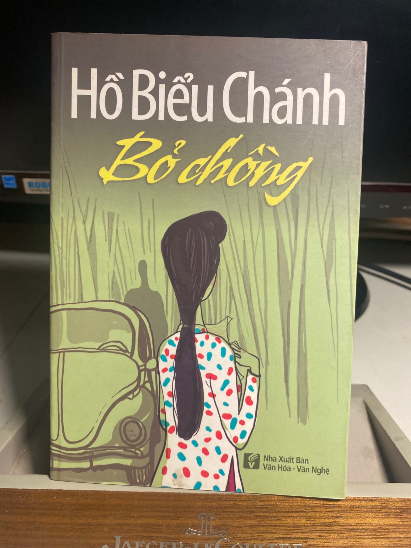 Bỏ Chồng- Hồ Biểu Chánh-NXB Văn Hoá Văn Nghệ 2014- Sách lưu kho mới 95% STB1260