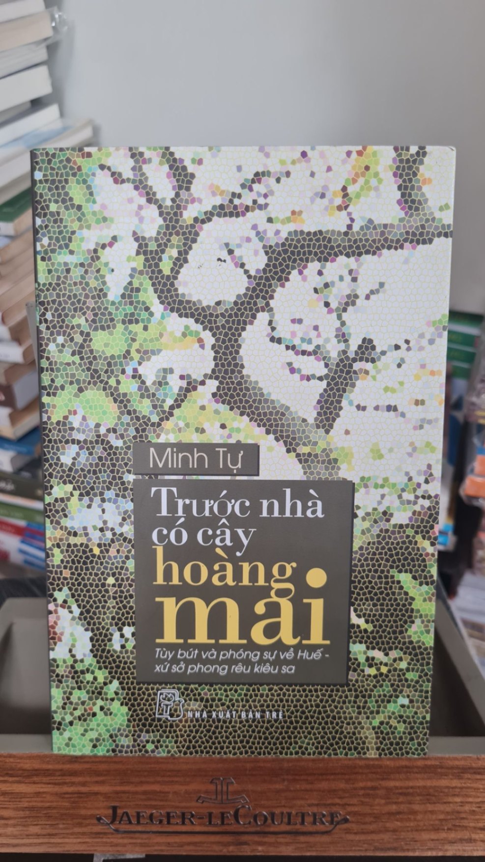 Trước nhà có cây hoàng mai -mới 85%-2016 Minh Tự [2001] SÁCH VĂN HỌC STB184