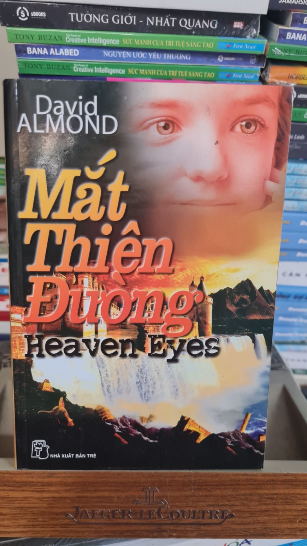 Mắt thiên đường -Sách lưu kho mới 85%- 2007 David Almond [2001] SÁCH VĂN HỌC STB488