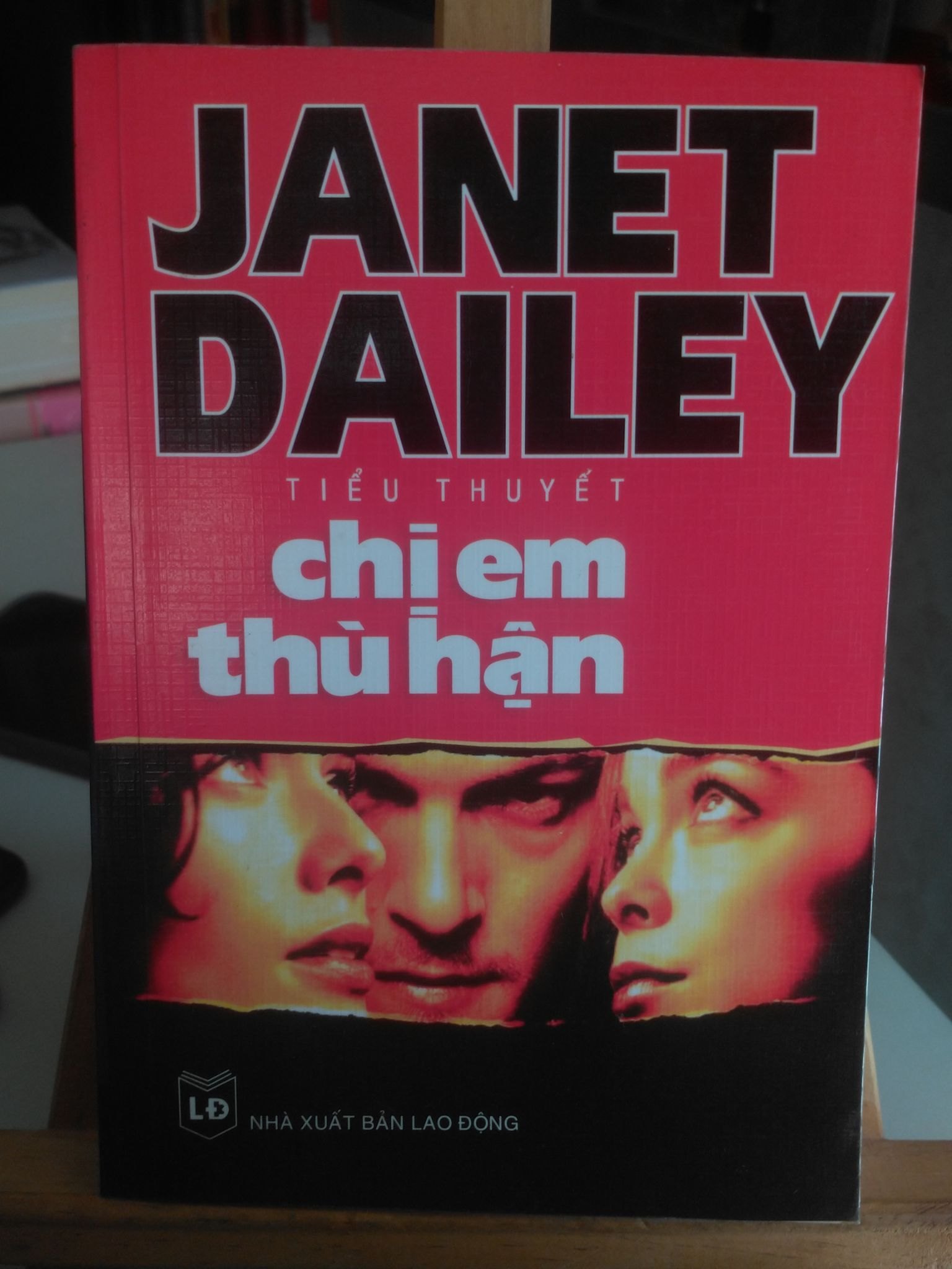 Chị em thù hận -mới 80% ố nhẹ -2005 -Janet Dailey [1301] SÁCH VĂN HỌC STB132
